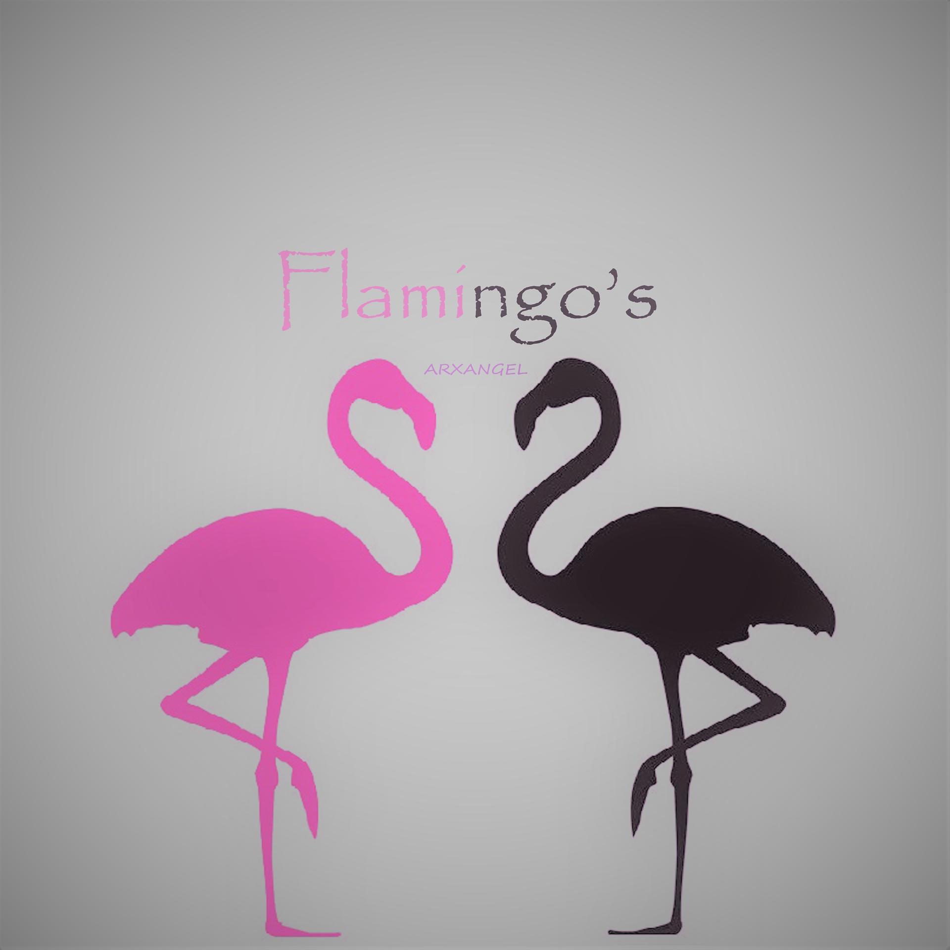 Постер альбома Flamingo's