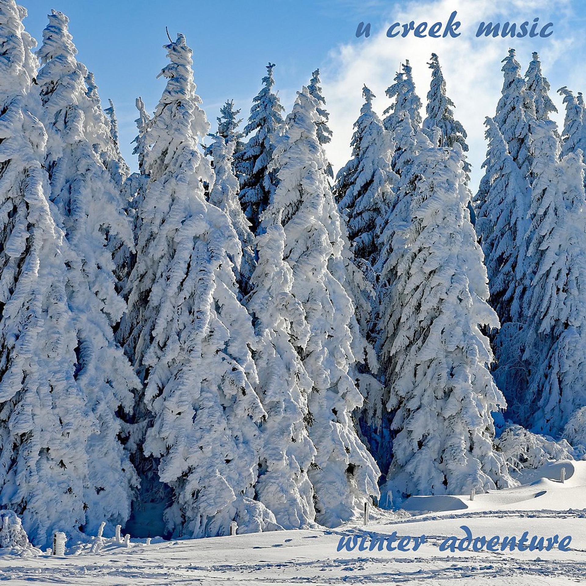 Постер альбома Winter Adventure (Orchestral Winter & Christmas Music)