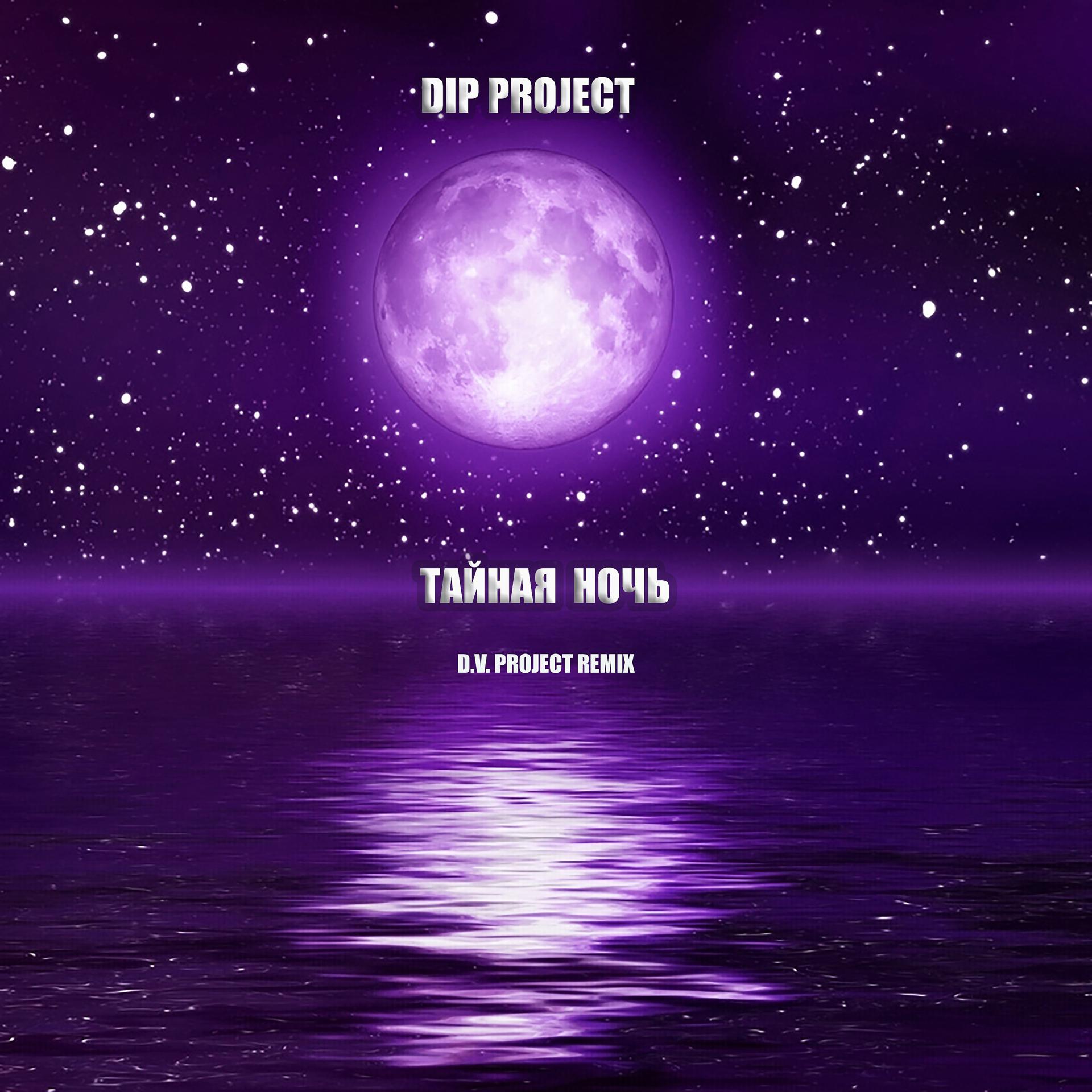 Постер альбома Тайная ночь (D.v. Project Remix)