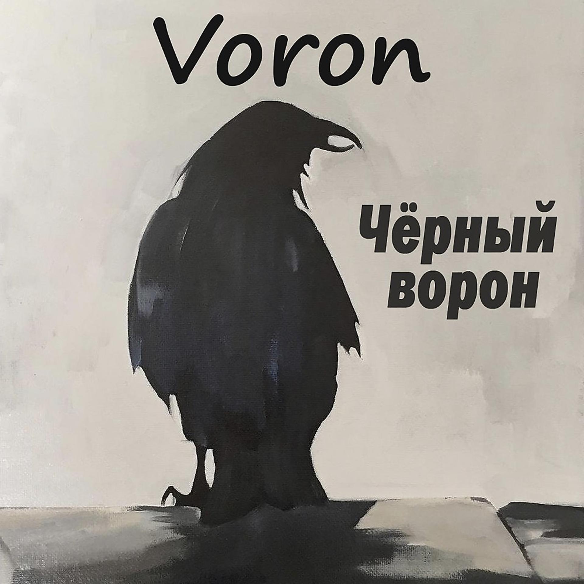 Постер альбома Черный ворон
