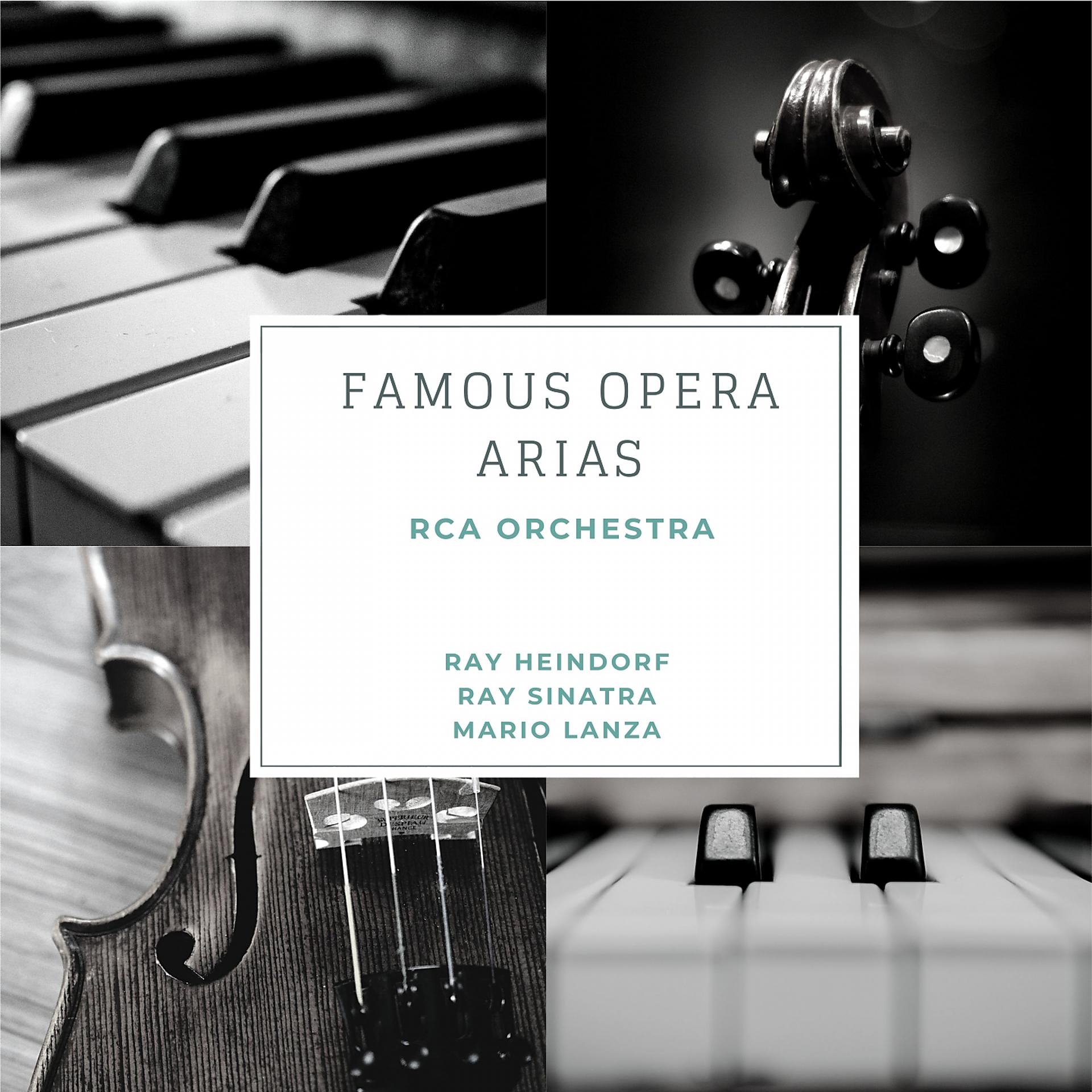 Постер альбома Famous Opera Arias