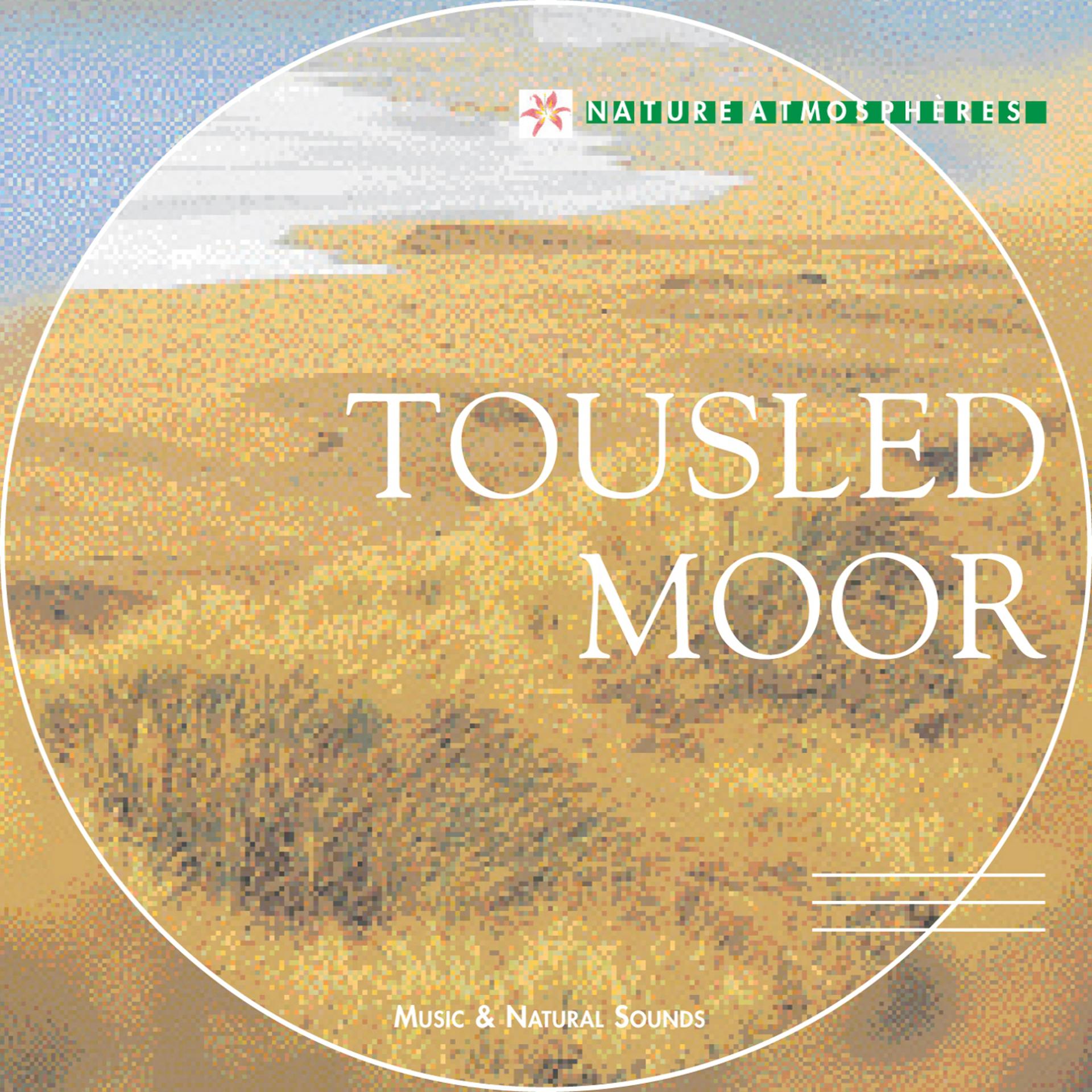 Постер альбома Nature Atmosphere: Tousled Moor