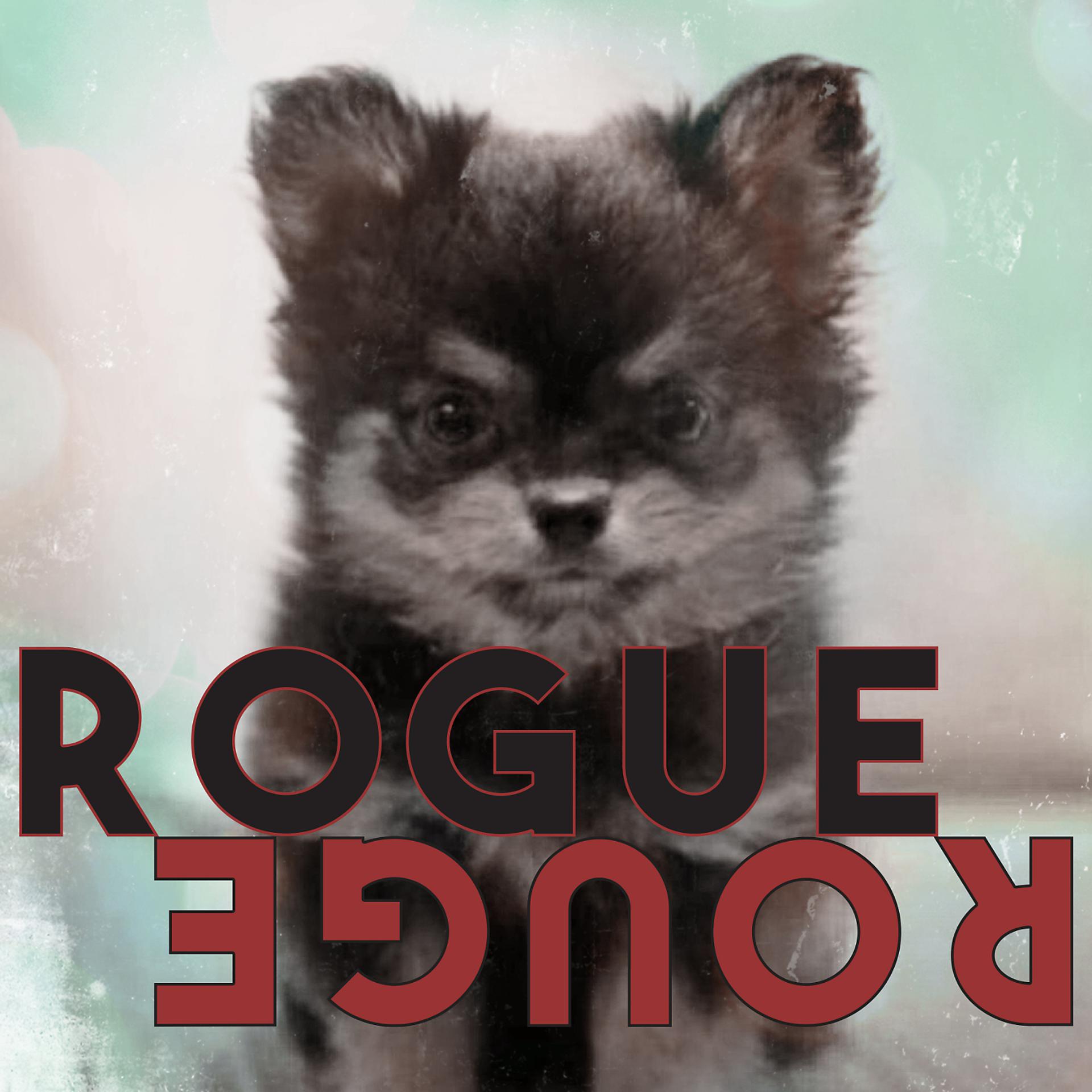 Постер альбома Rogue Rouge