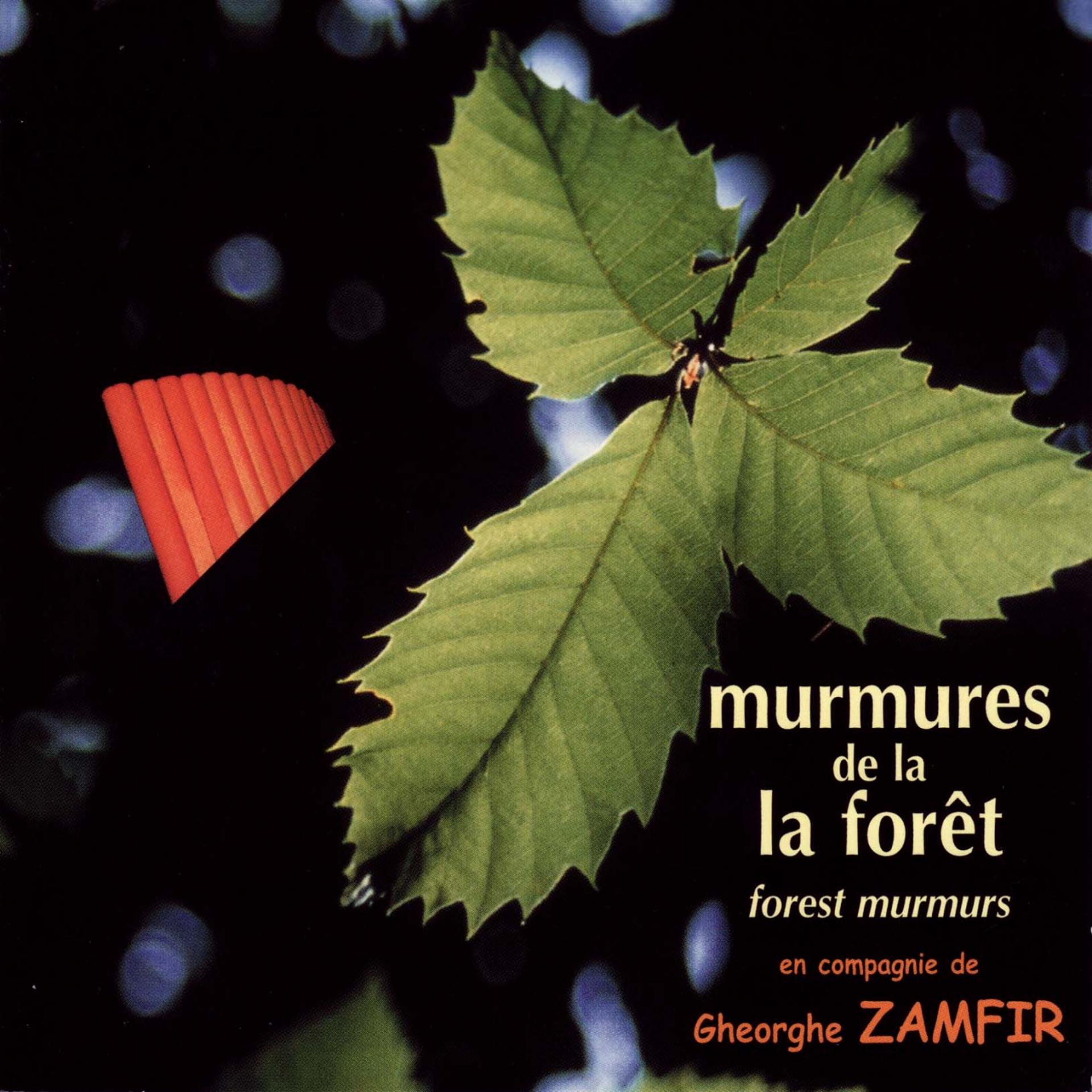 Постер альбома Murmures de la forêt (Forest Murmurs)