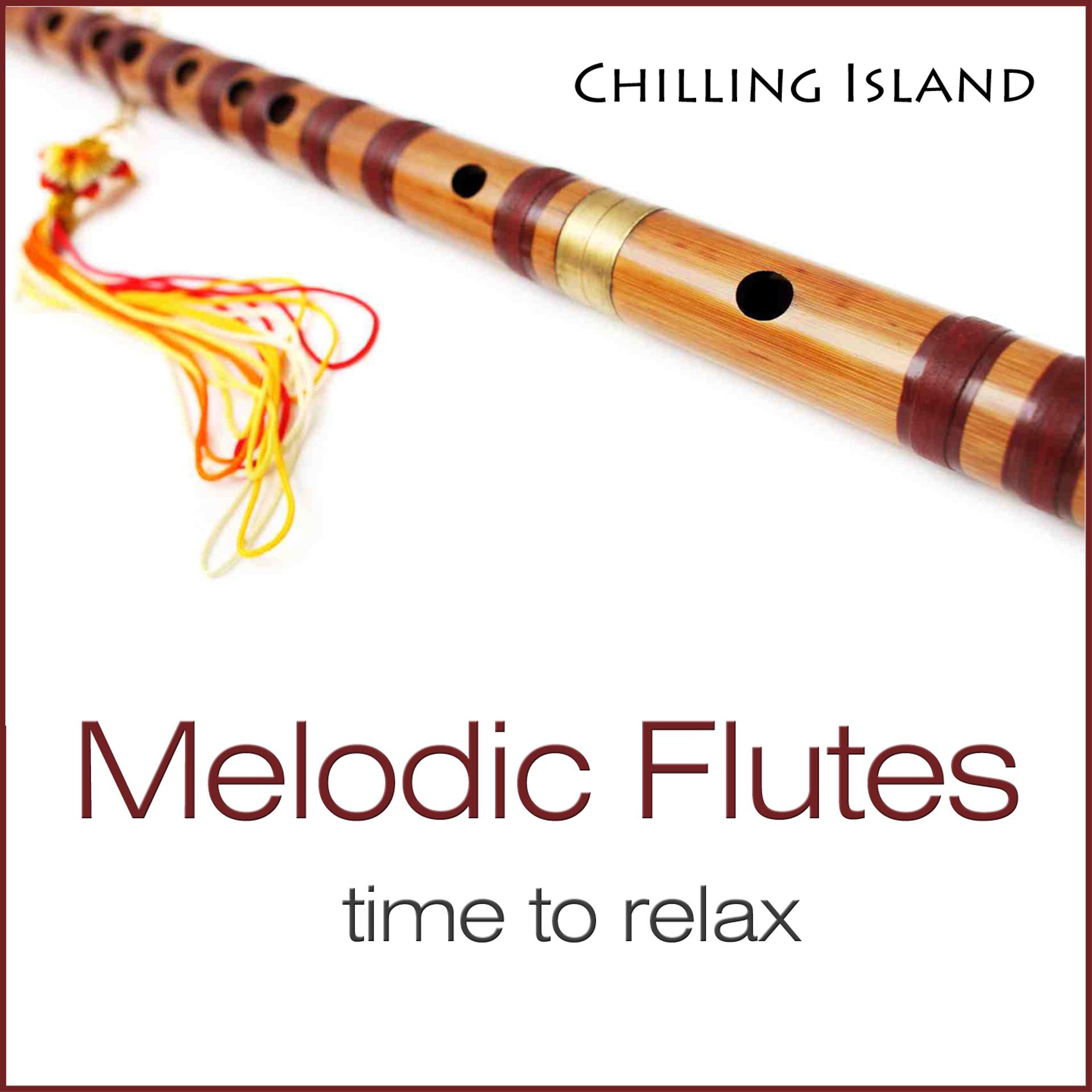 Постер альбома Melodic Flutes
