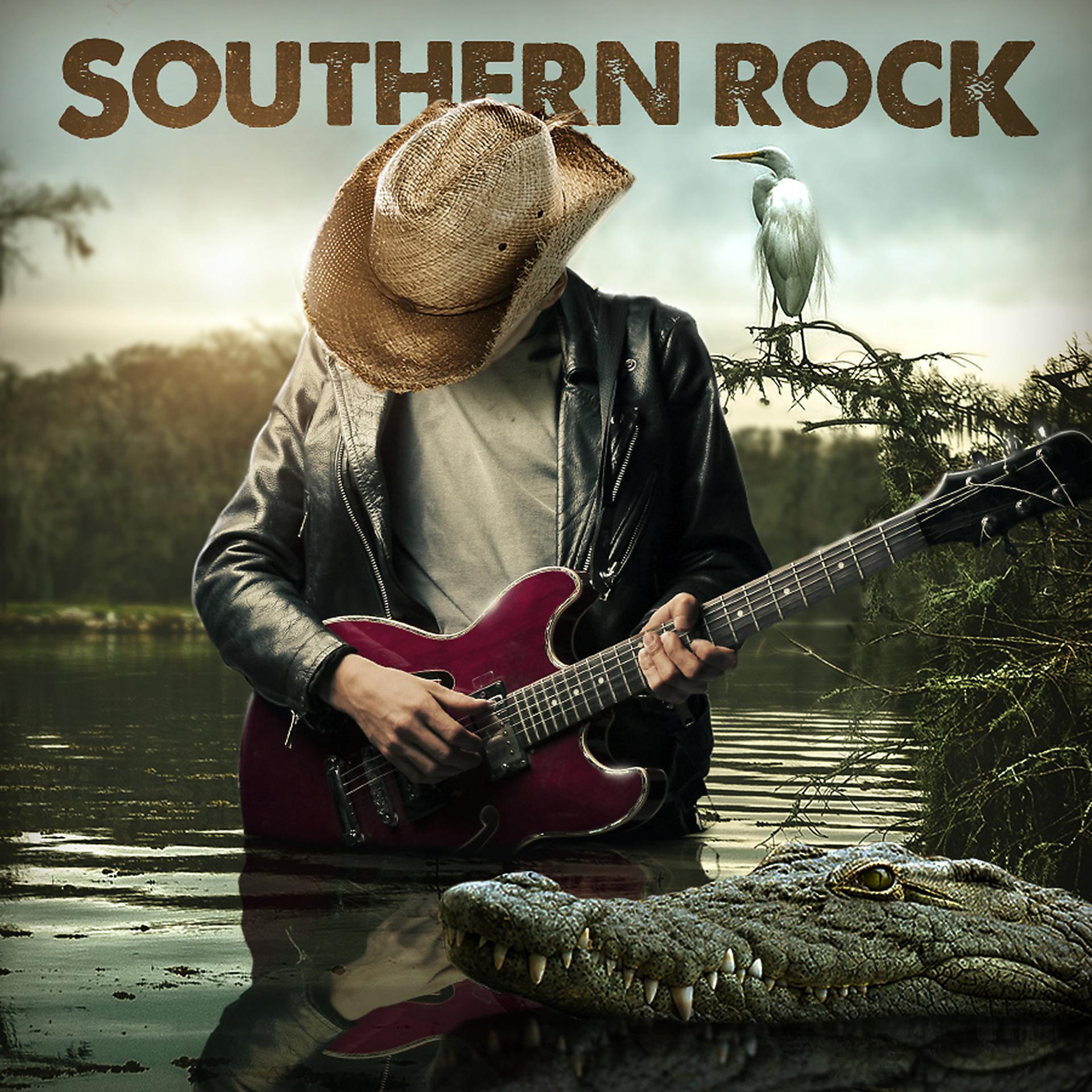 Постер альбома Southern Rock