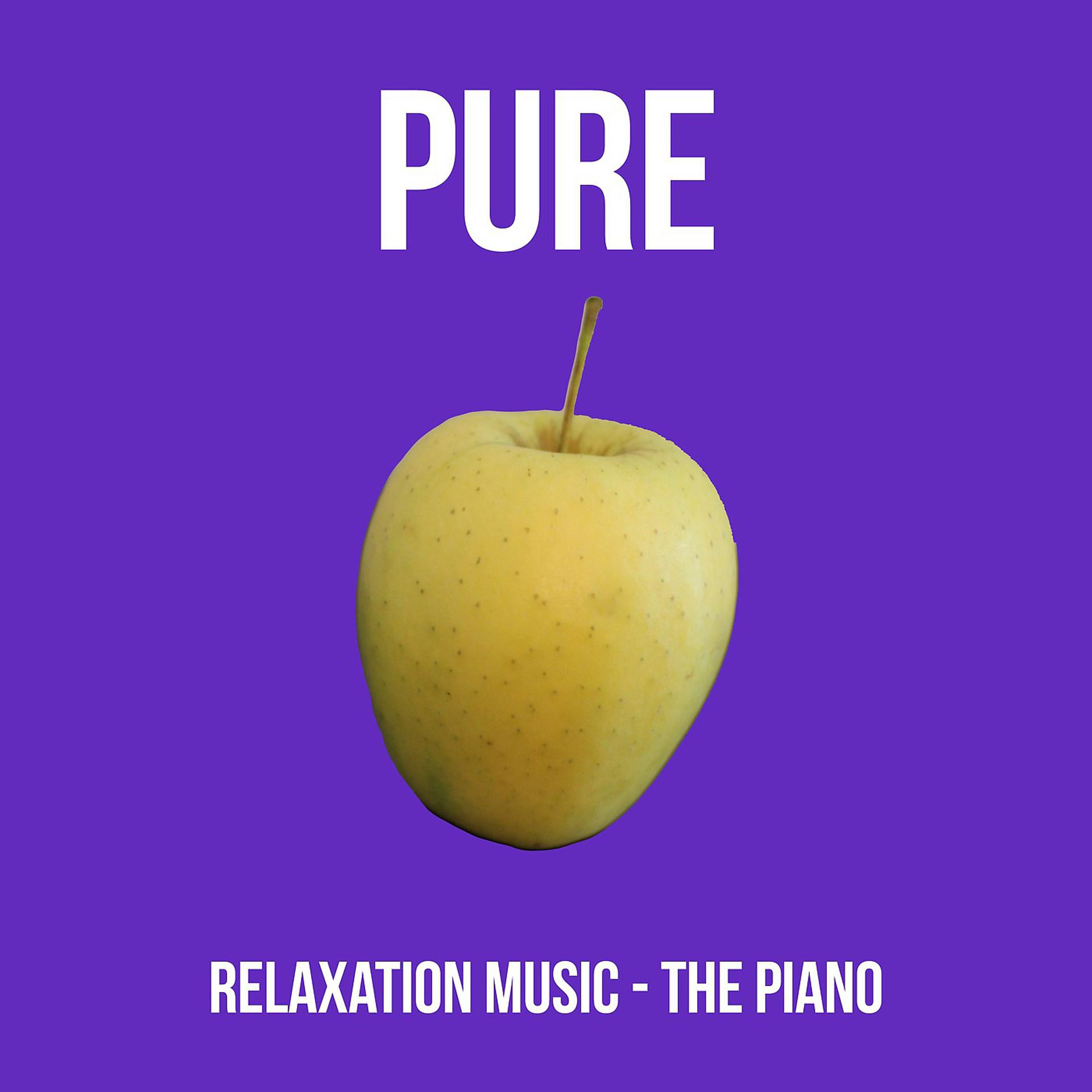 Постер альбома Relaxation Music the Piano Pure