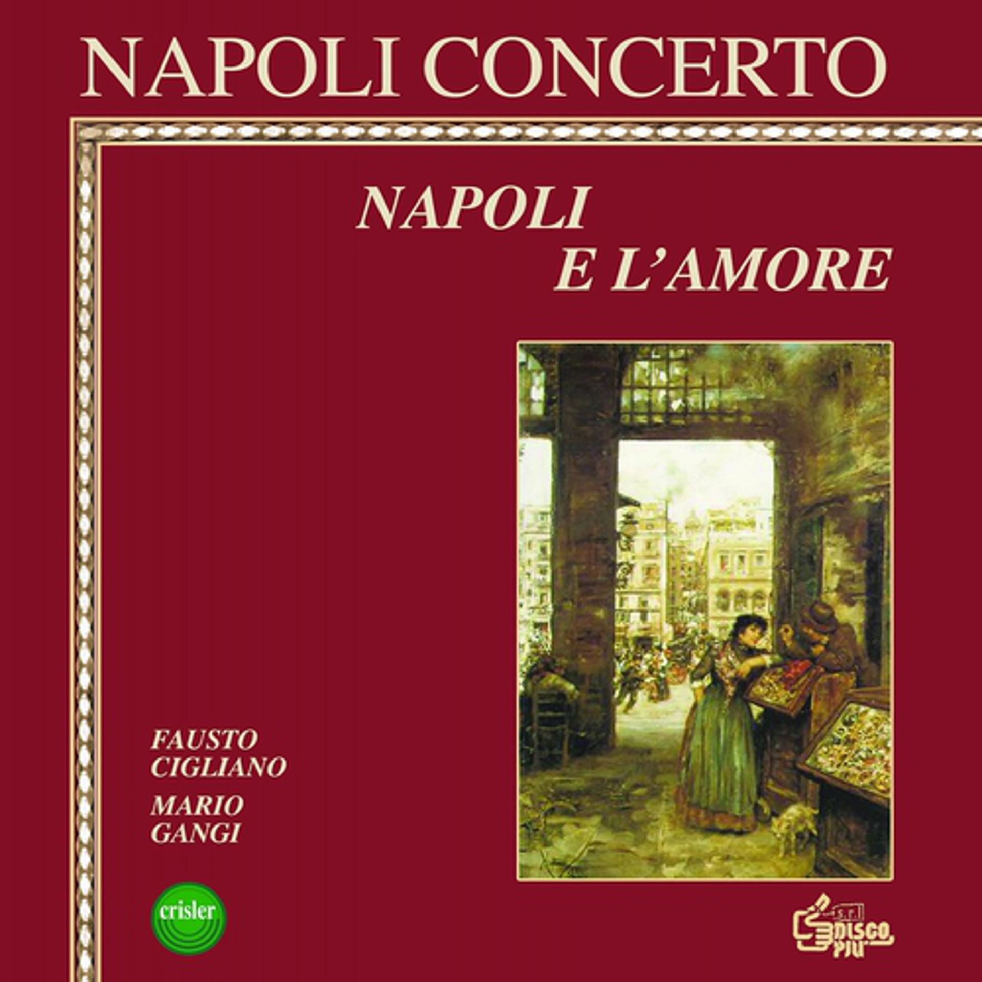 Постер альбома Napoli concerto : Napoli e l'amore