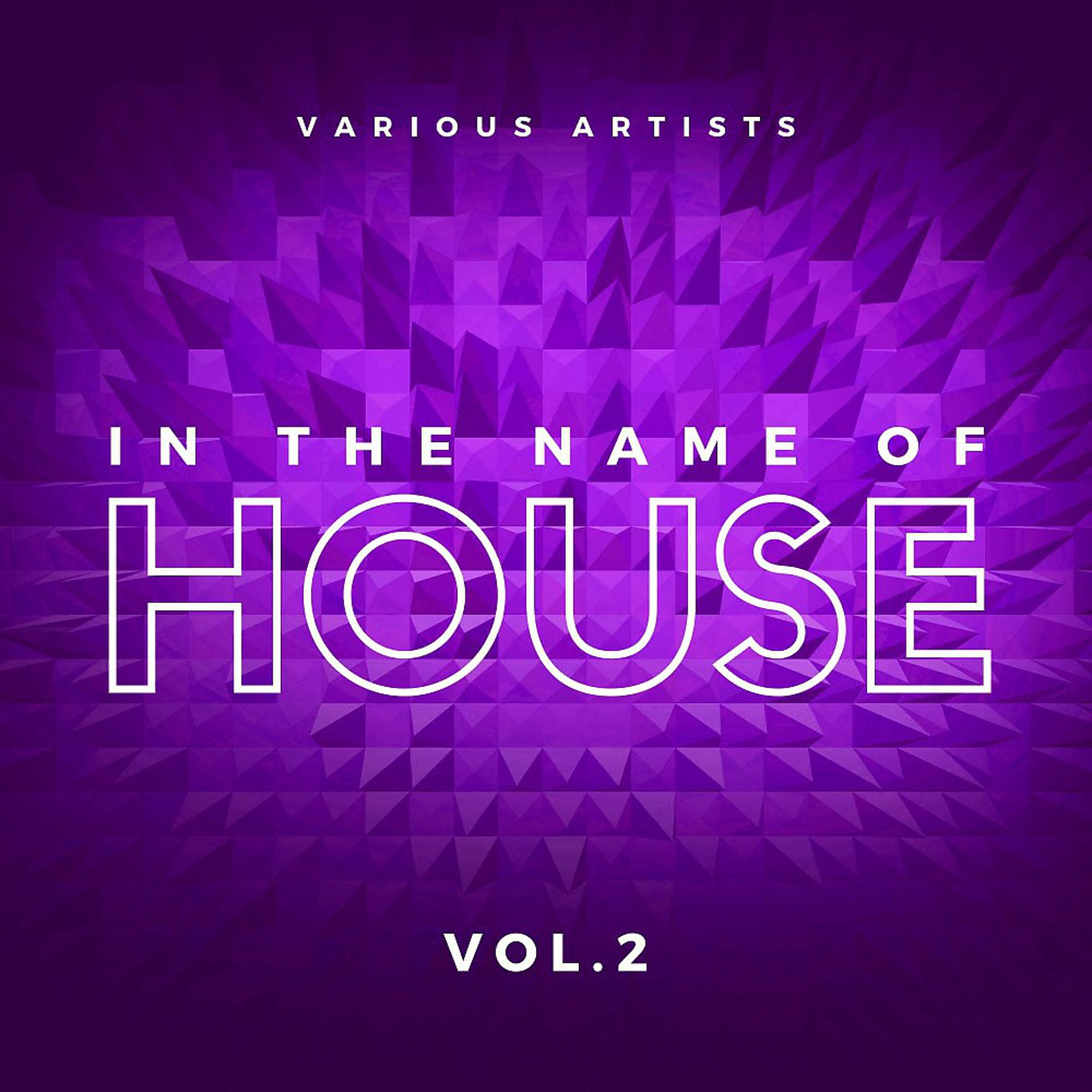 Постер альбома In the Name of House, Vol. 2