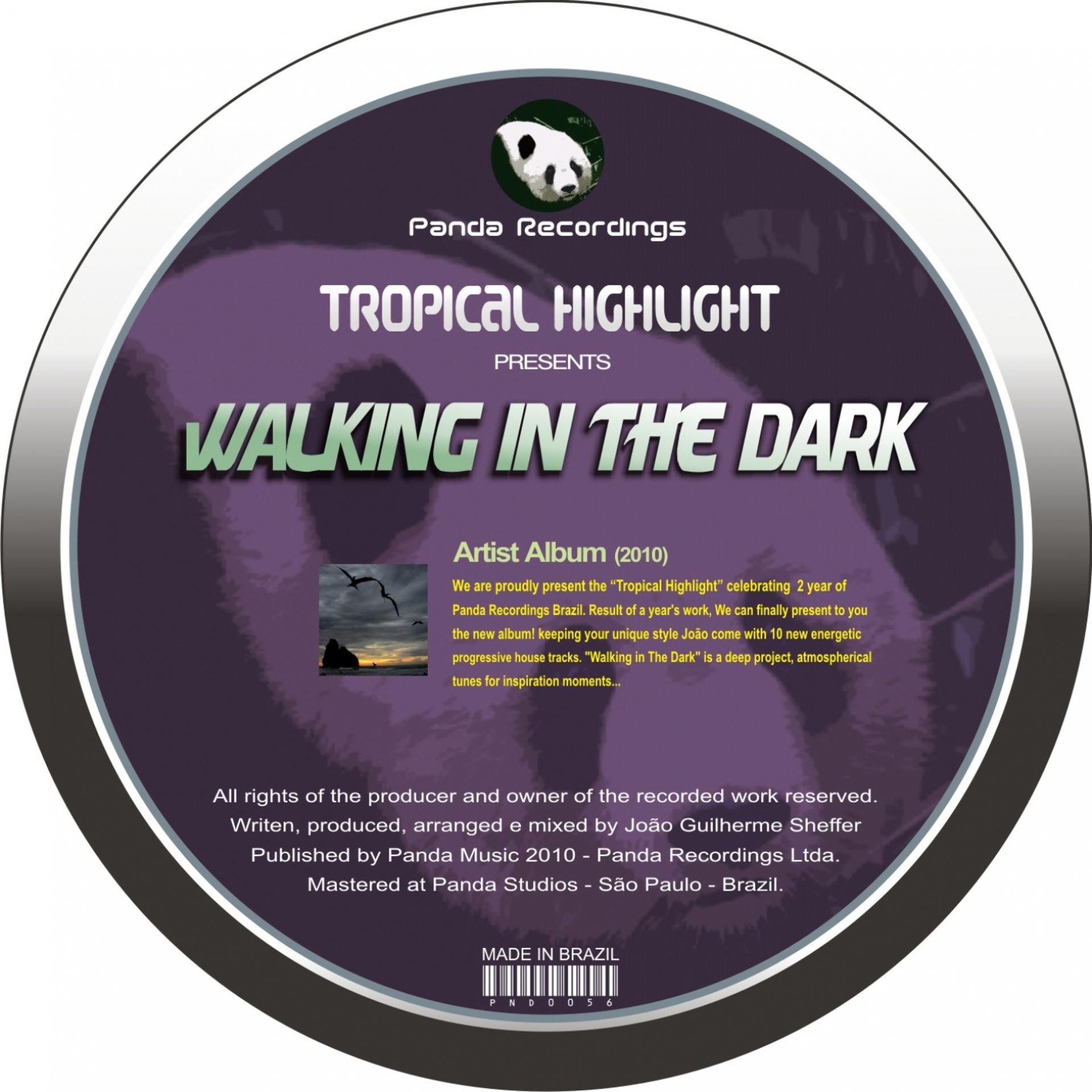 Постер альбома Walking In the Dark