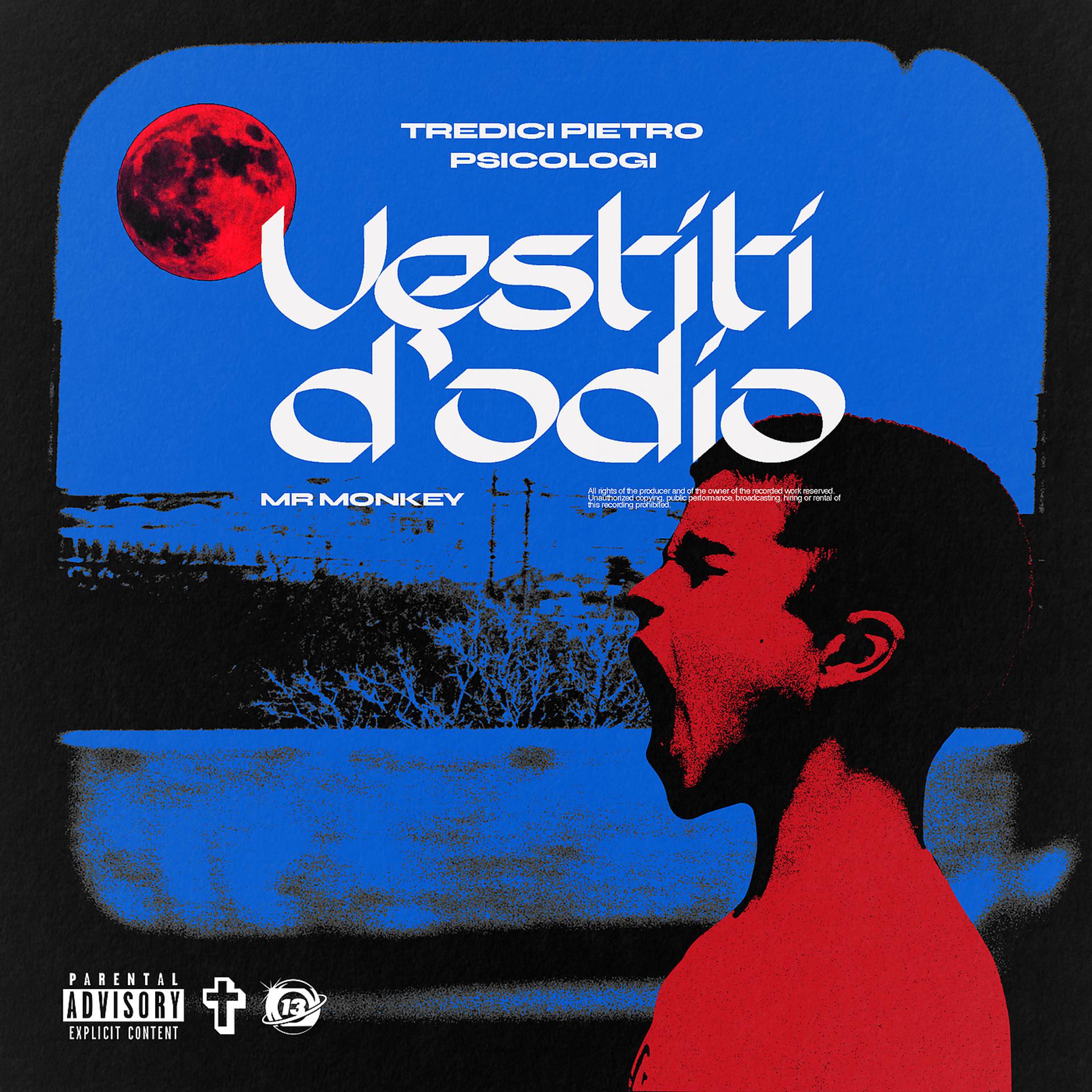 Постер альбома Vestiti D'Odio