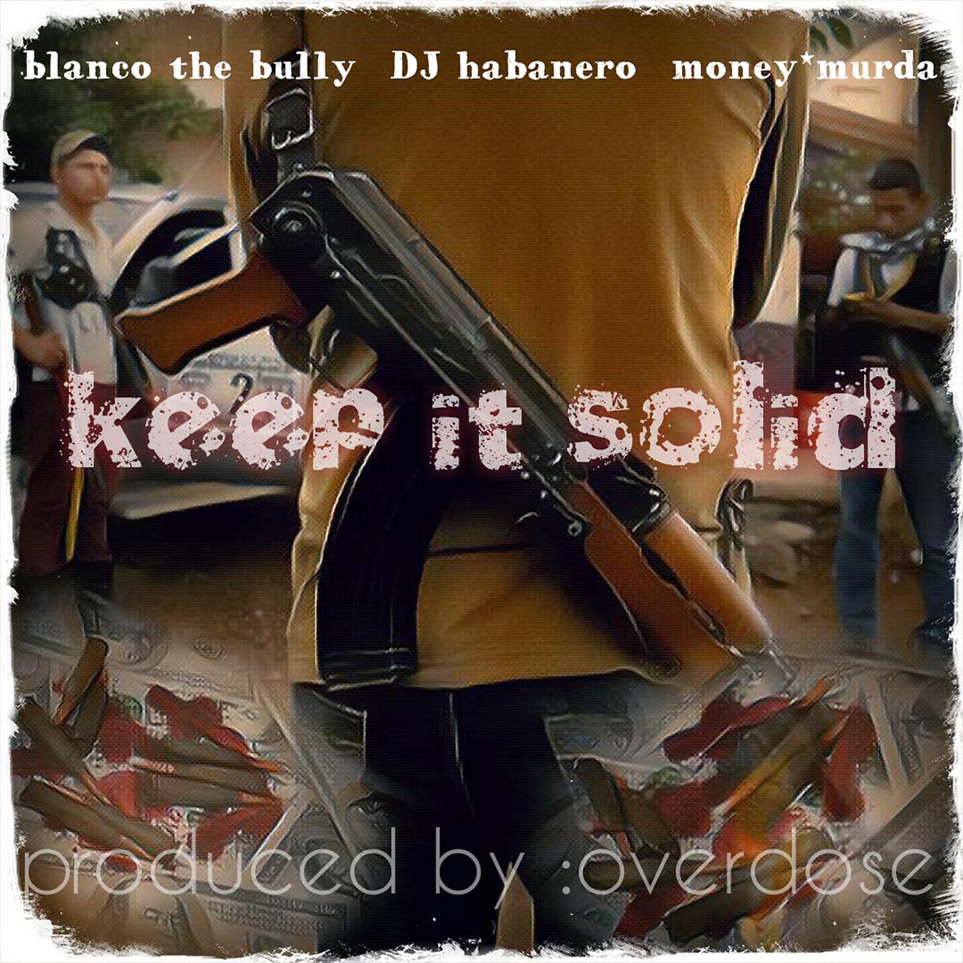 Постер альбома Keep It Solid (feat. Dj Habanero & Money Murda)