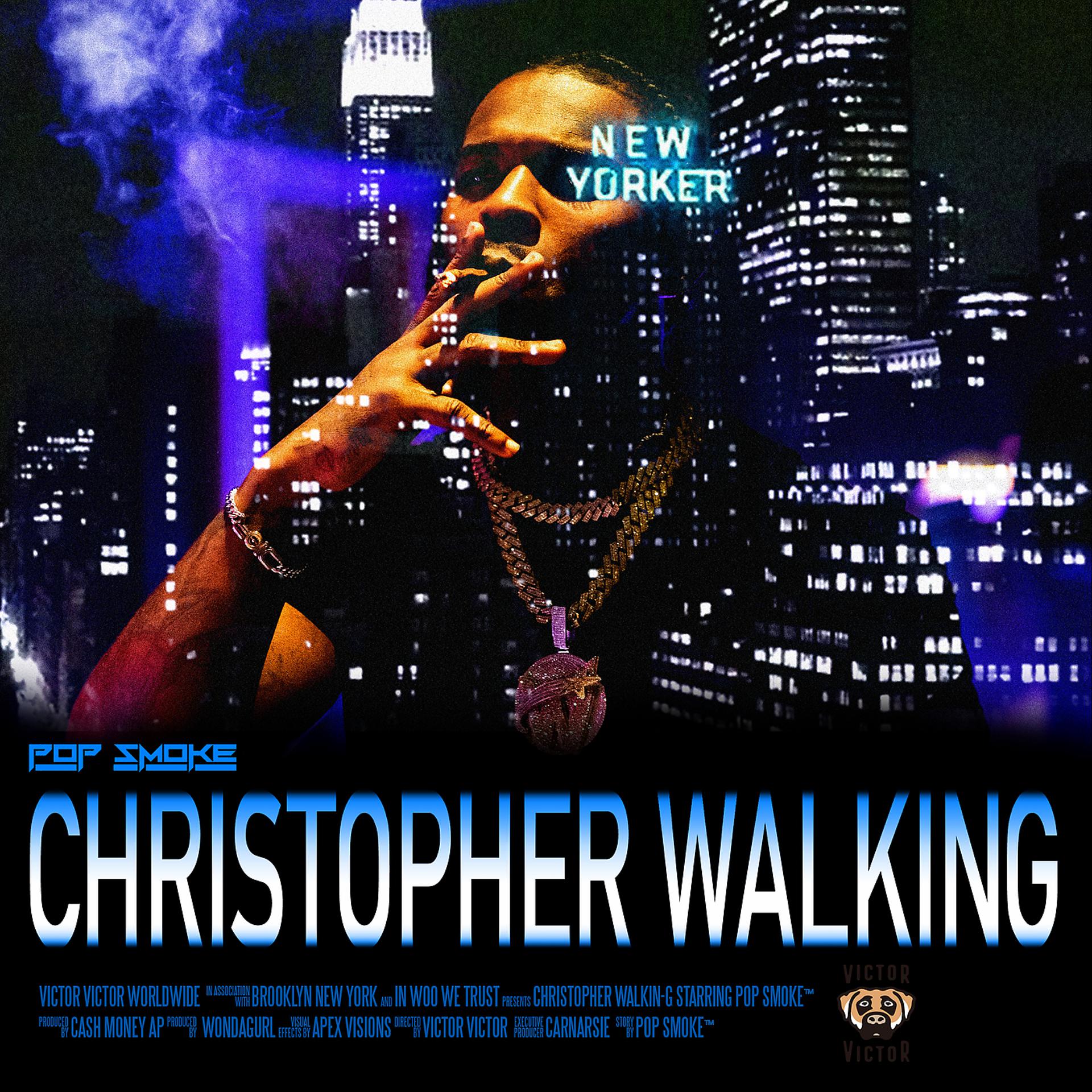 Постер альбома Christopher Walking