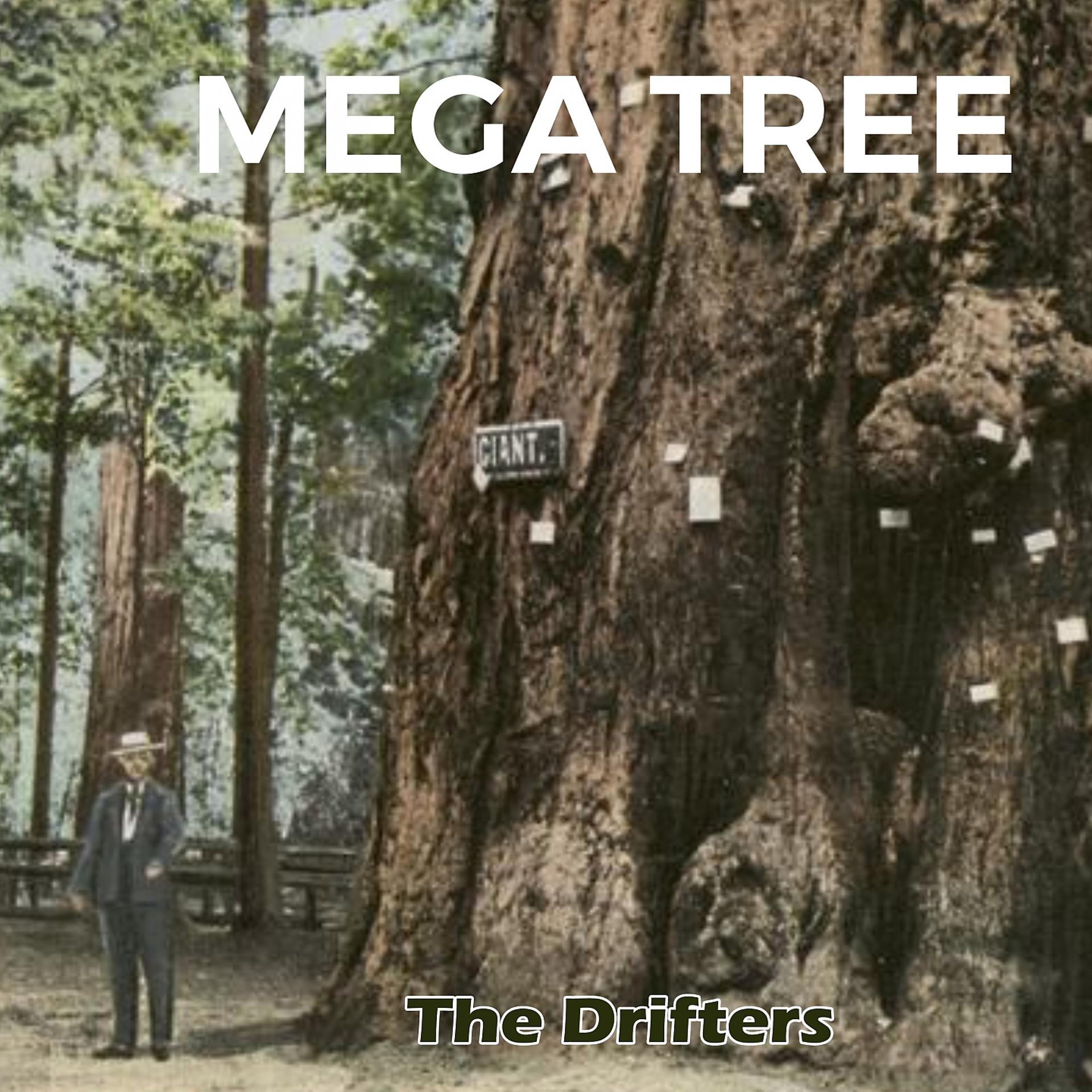 Постер альбома Mega Tree
