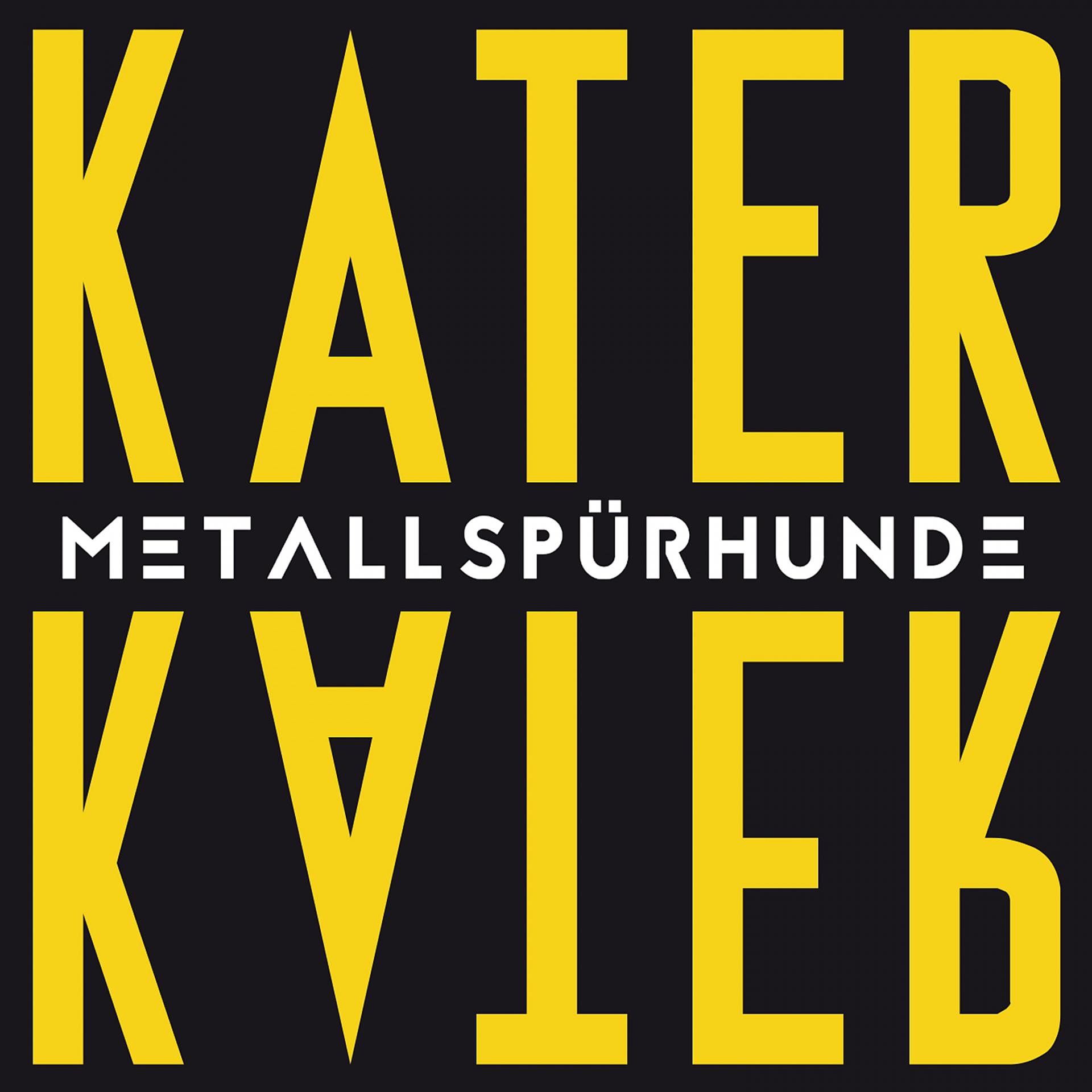 Постер альбома Kater
