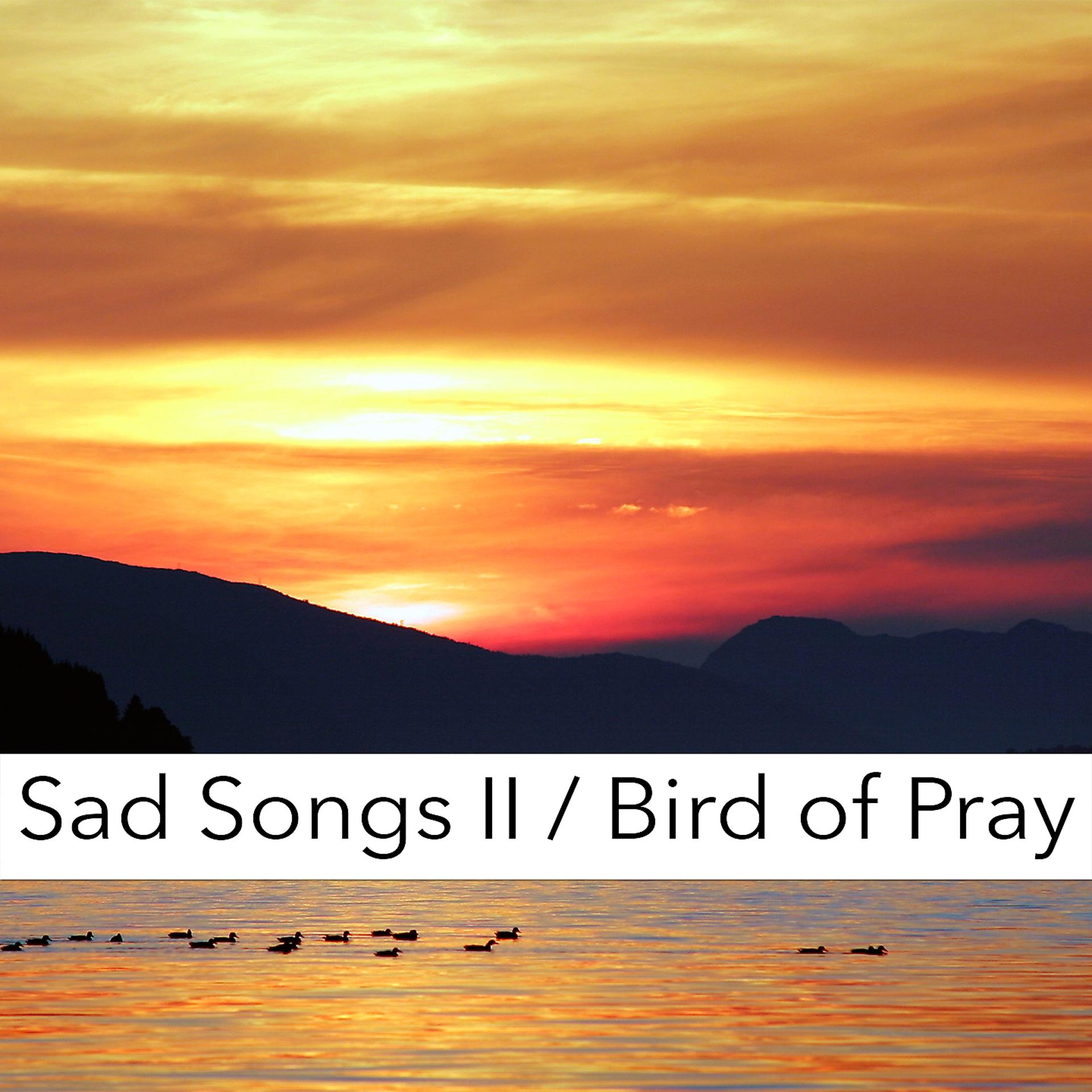 Постер альбома Sad Songs II