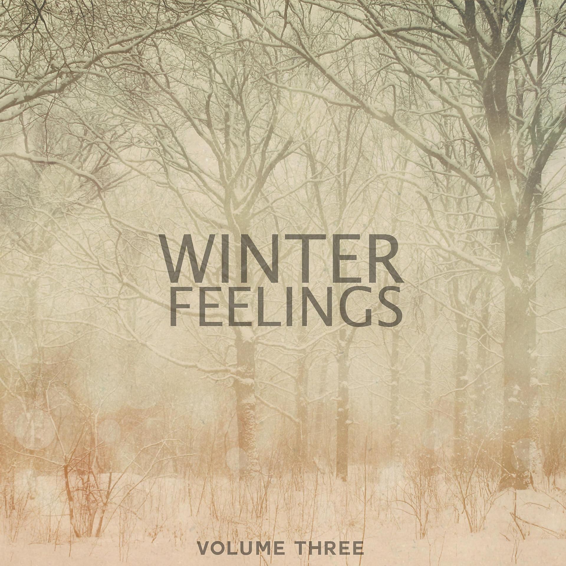 Постер альбома Winter Feelings, Vol. 3