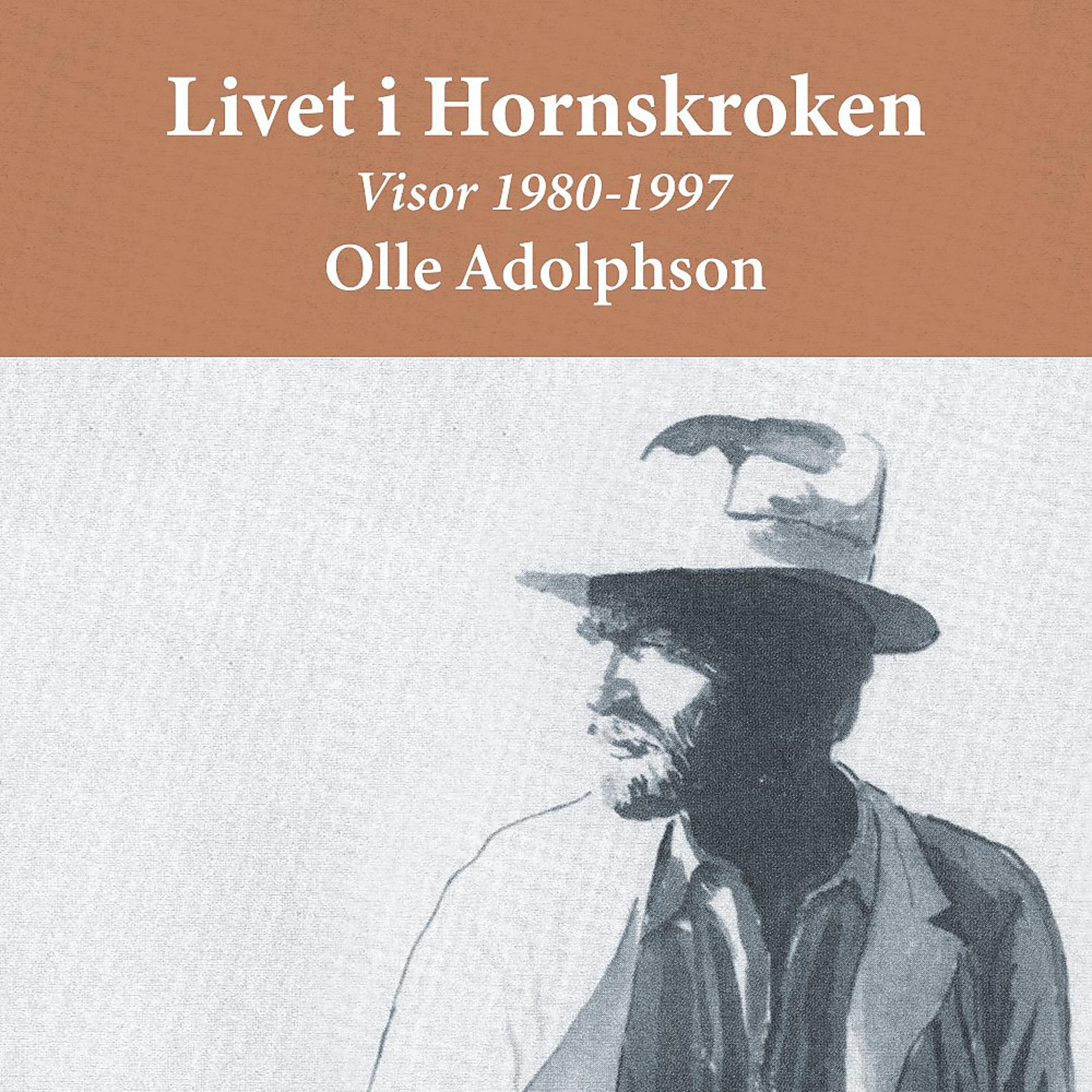 Постер альбома Livet i Hornskroken (Visor 1980-1997)