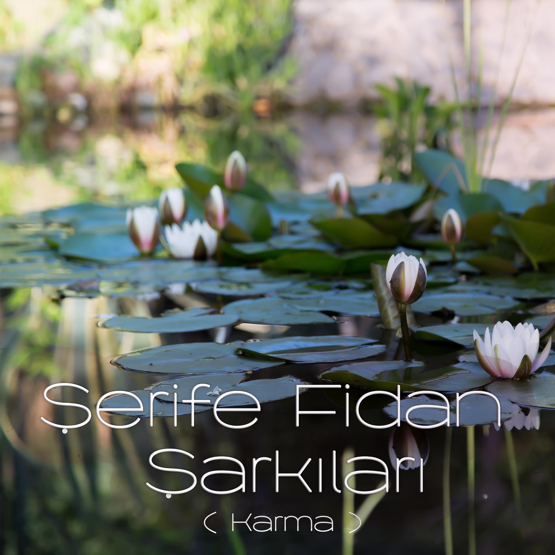 Постер альбома Şerife Fidan Şarkıları / Karma