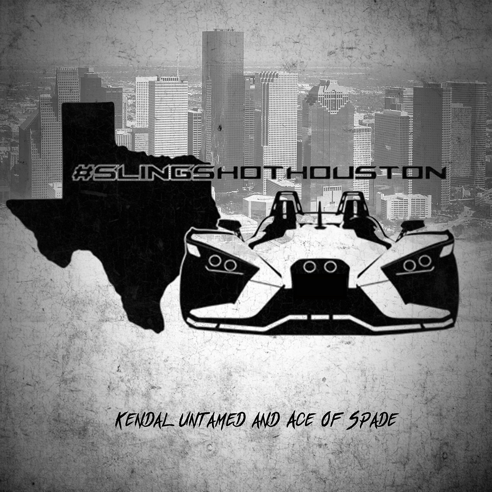 Постер альбома #Slingshot Houston