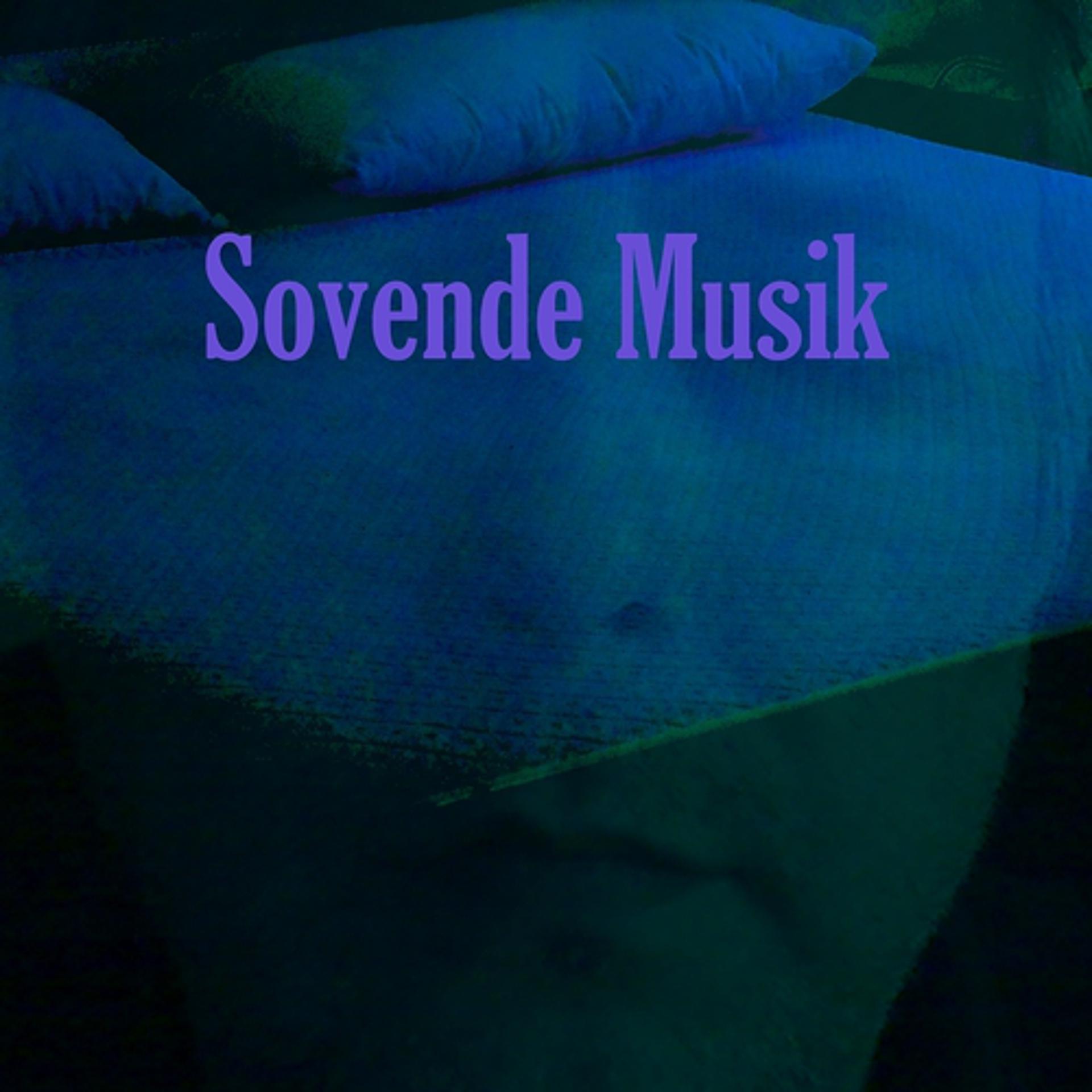 Постер альбома Sovende musik