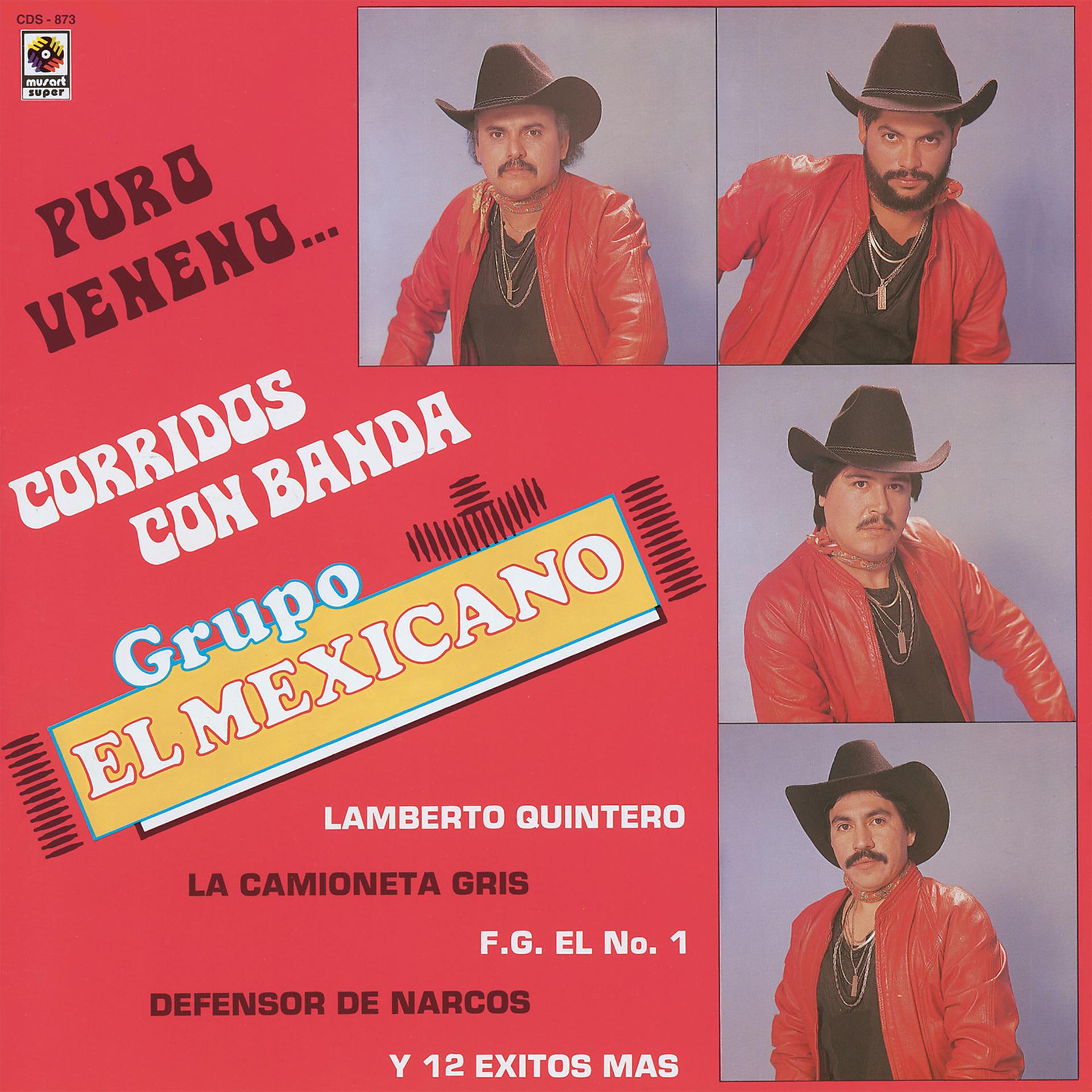 Постер альбома Puro Veneno Corridos Con Banda