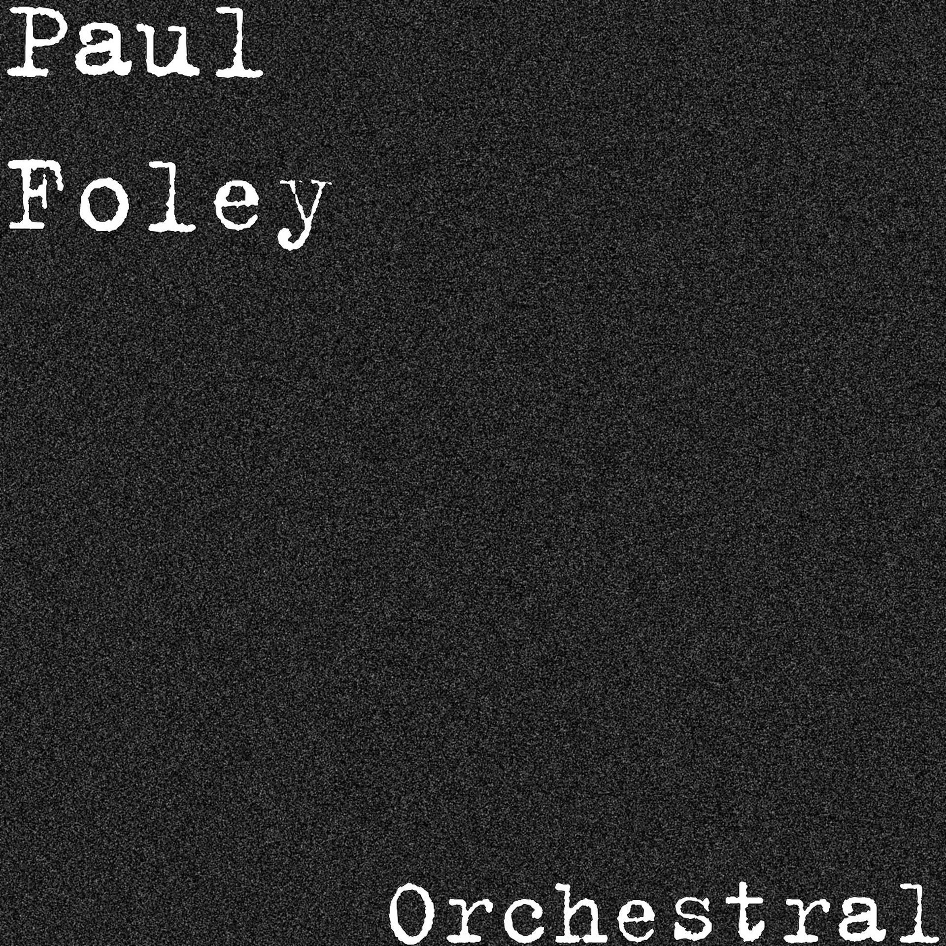 Постер альбома Orchestral