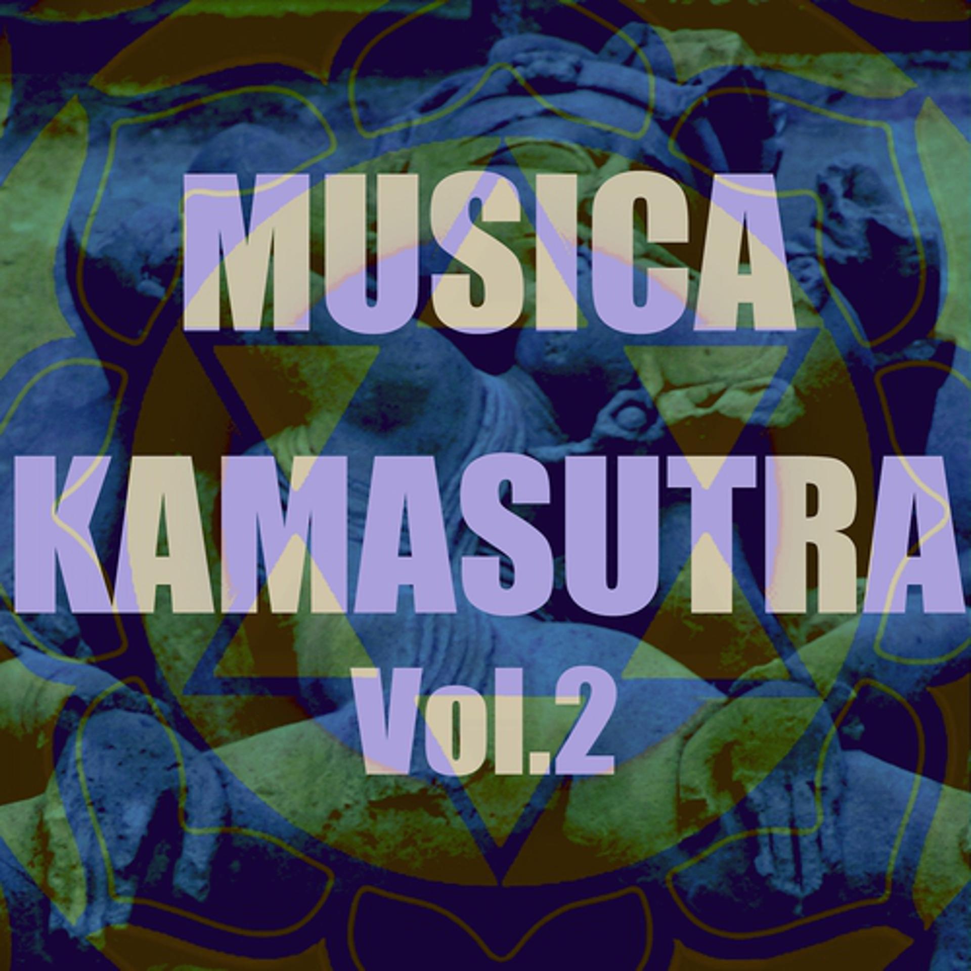 Постер альбома Musica kamasutra, vol. 2