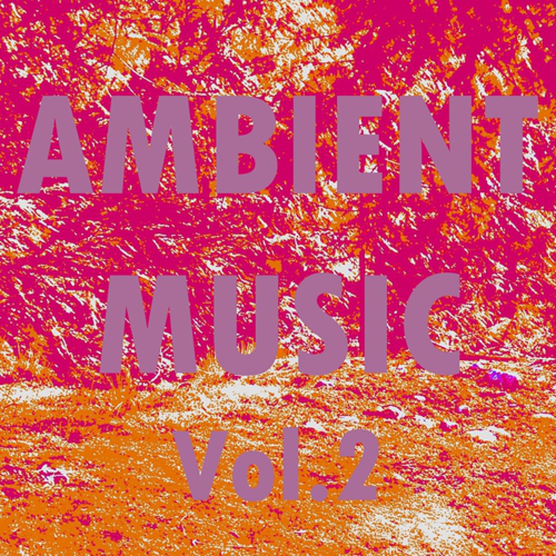 Постер альбома Ambient Music, Vol. 2