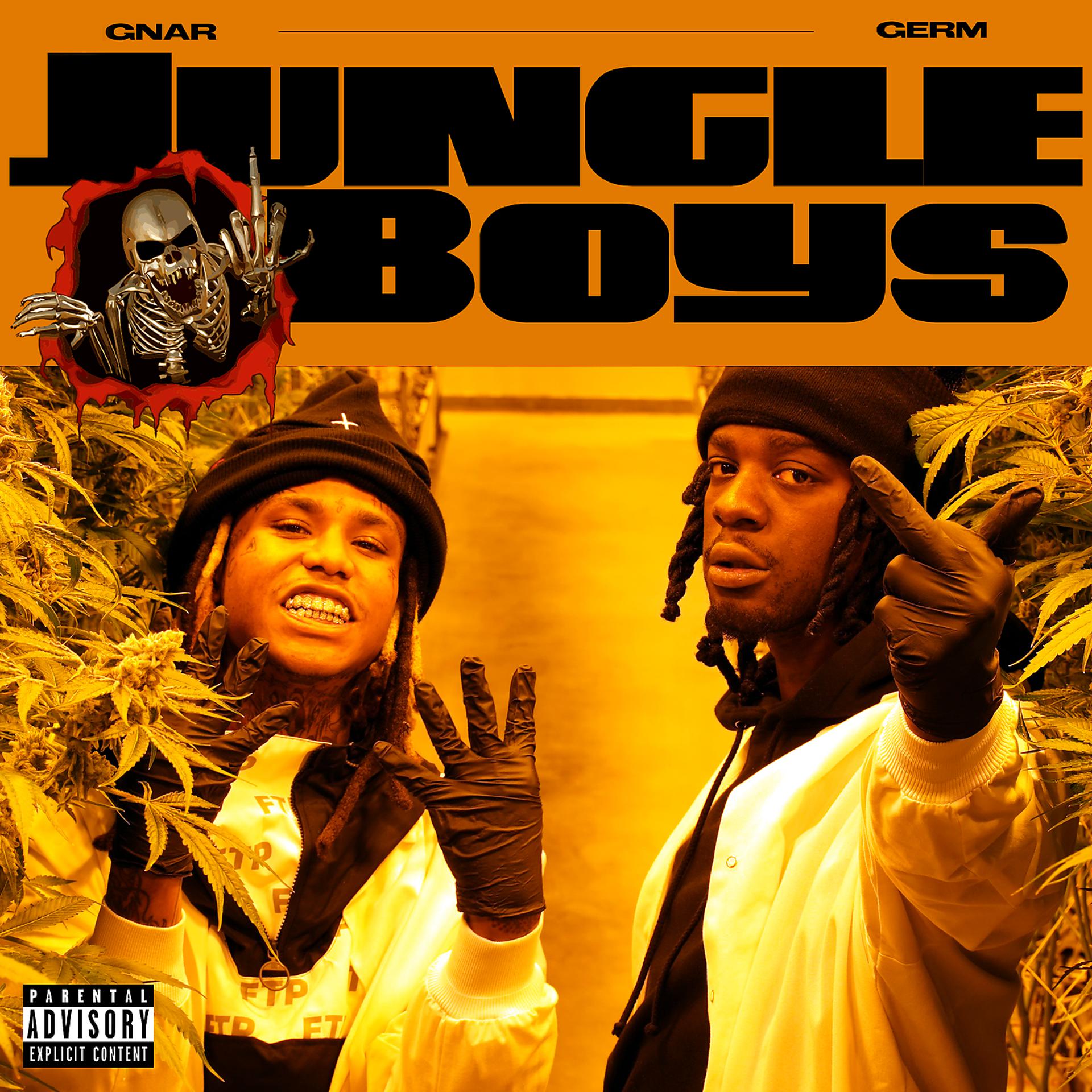 Постер альбома Jungle Boys