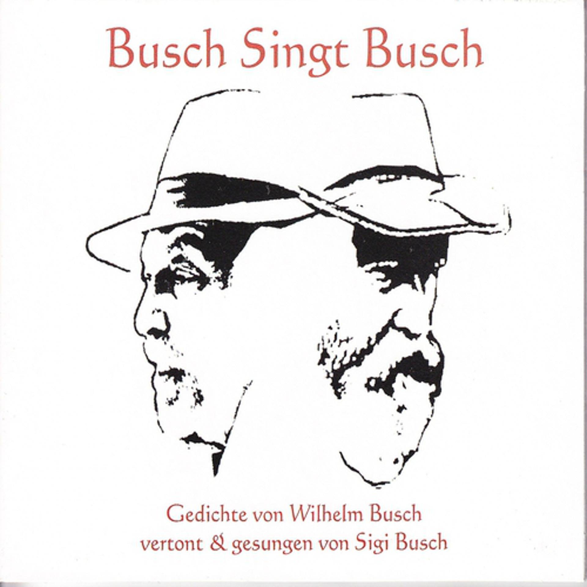 Постер альбома Busch singt Busch