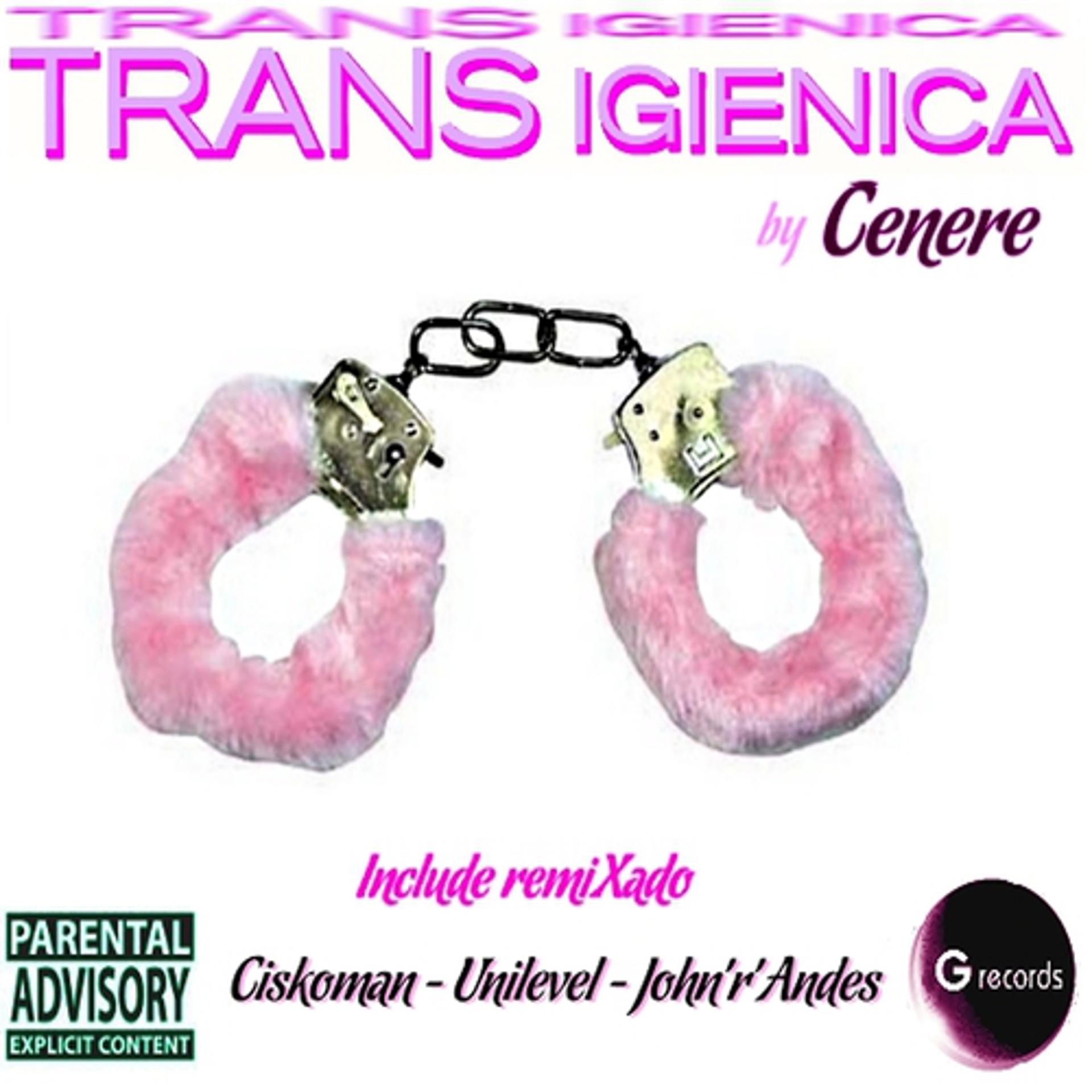 Постер альбома Trans Igenica