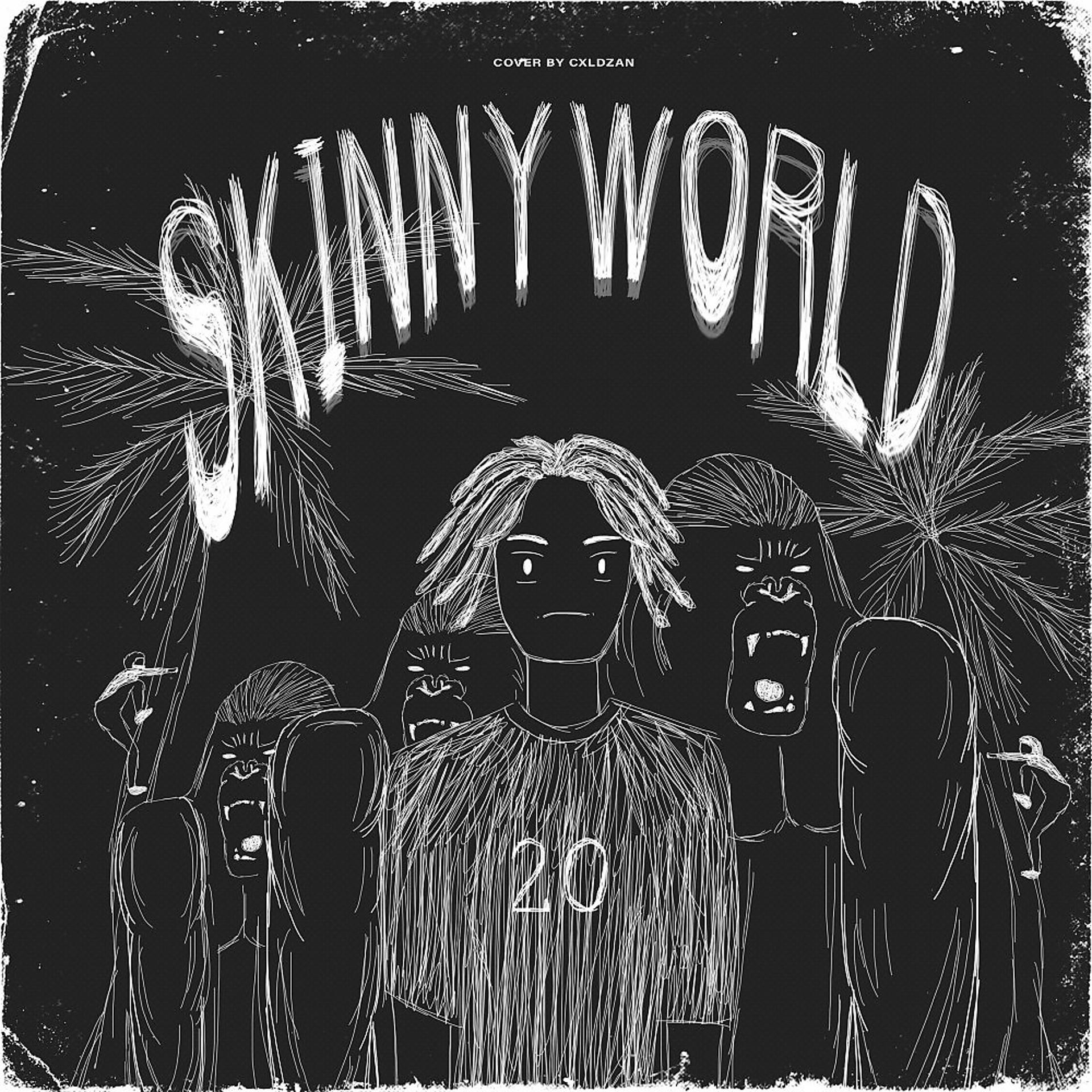 Постер альбома Skinny World