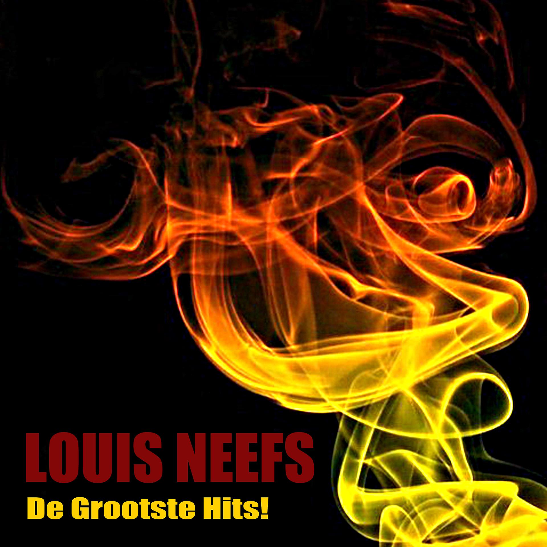 Постер альбома De Grootste Hits!