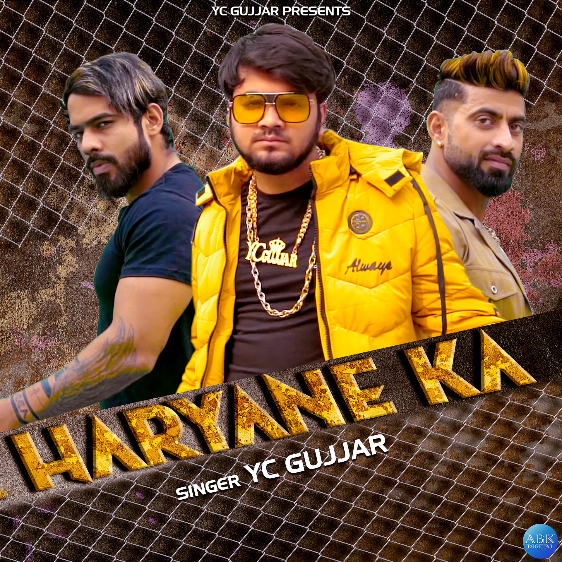 Постер альбома Haryane Ka - Single