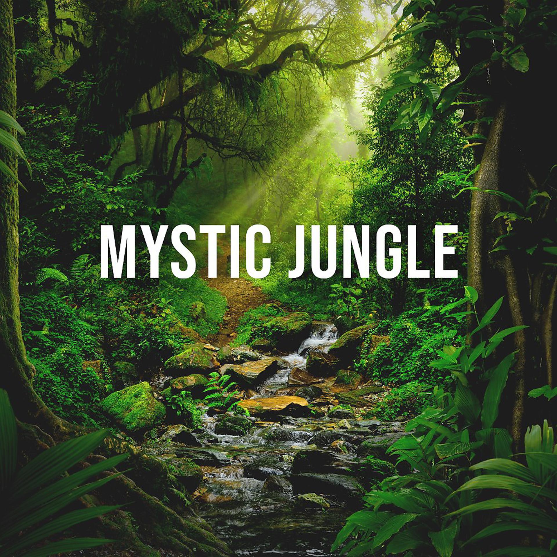 Постер альбома Mystic Jungle: Meditative Soundscape That Has a Positive Effect on Your Sleep