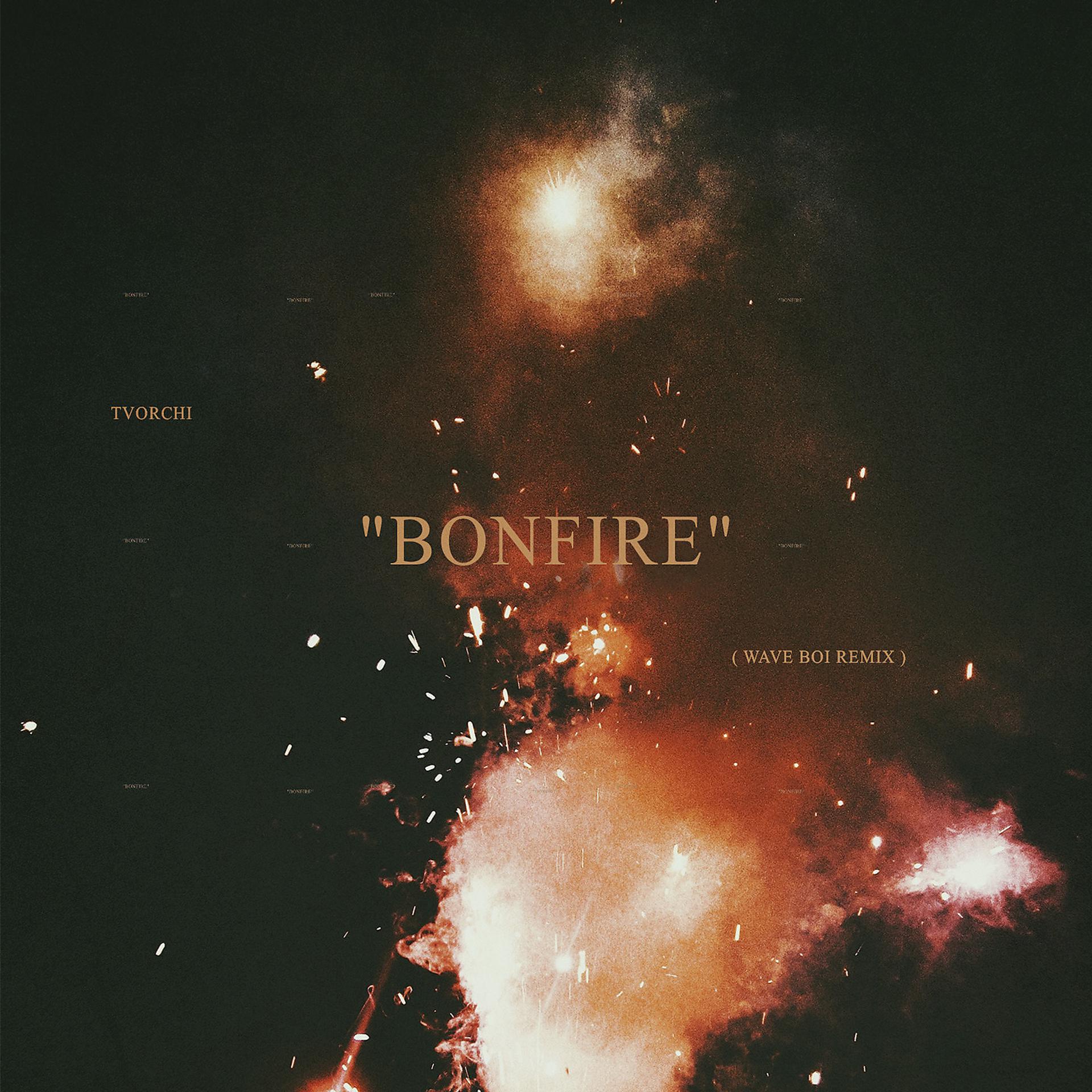 Постер альбома Bonfire (Remix)