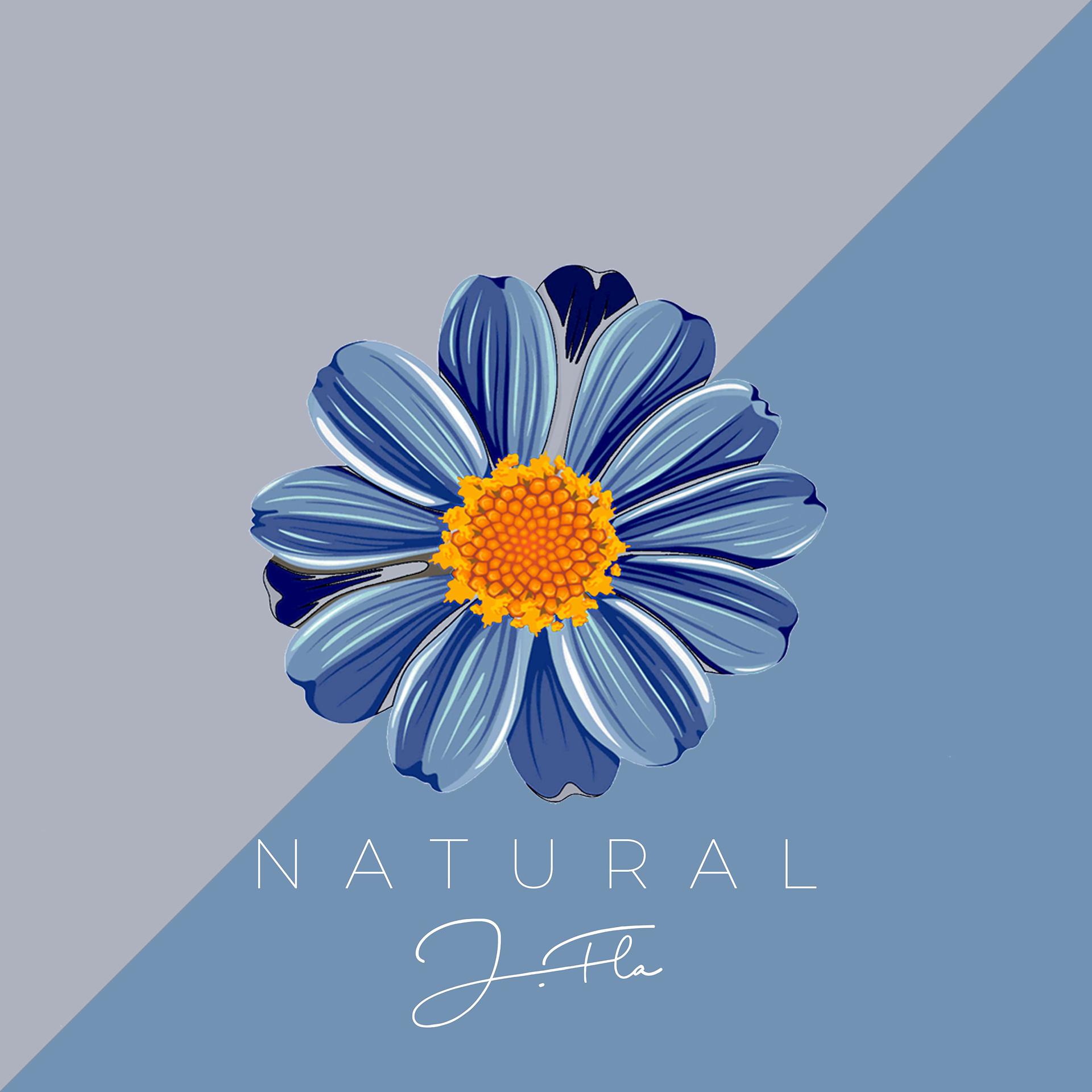 Постер альбома Natural