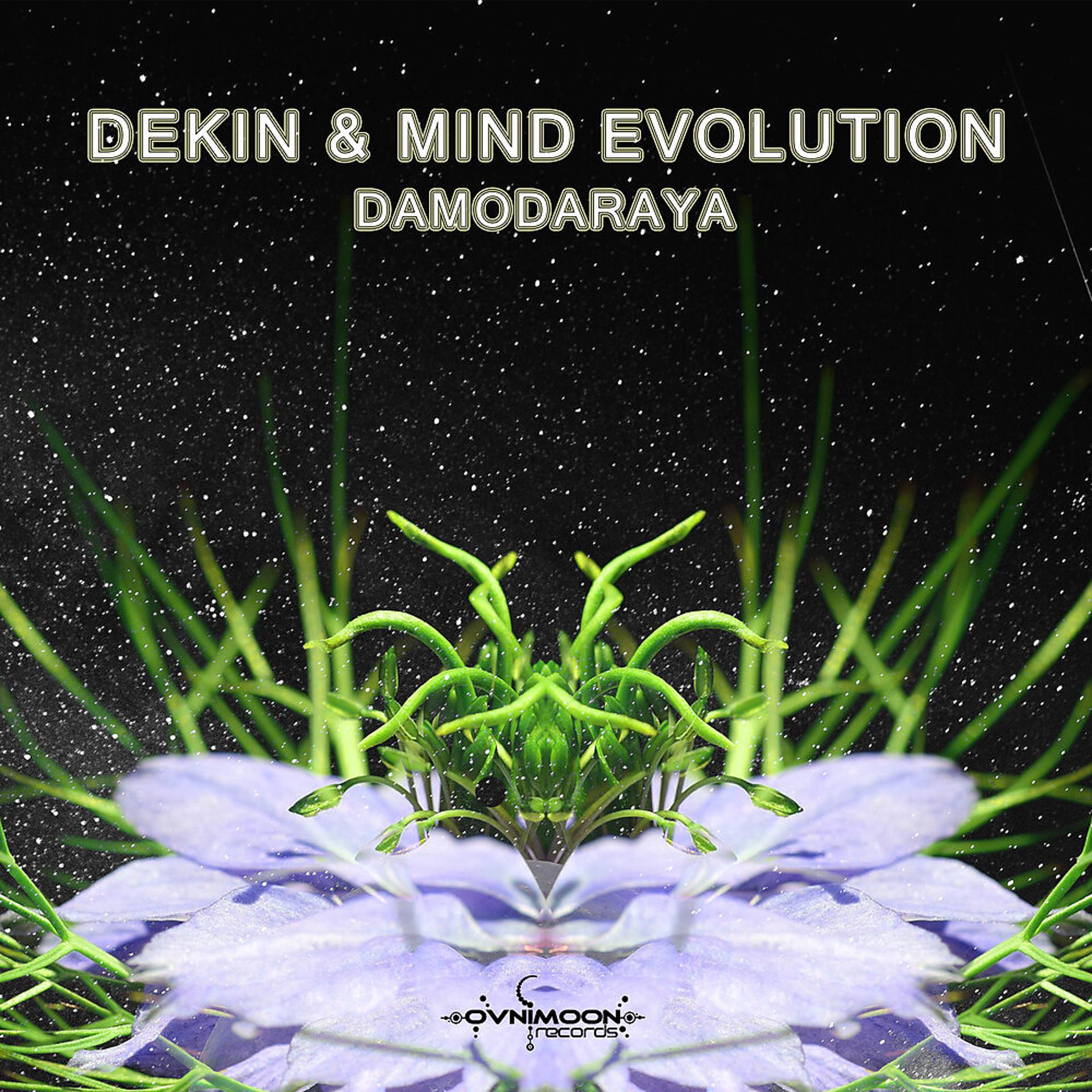 Постер альбома Damodaraya