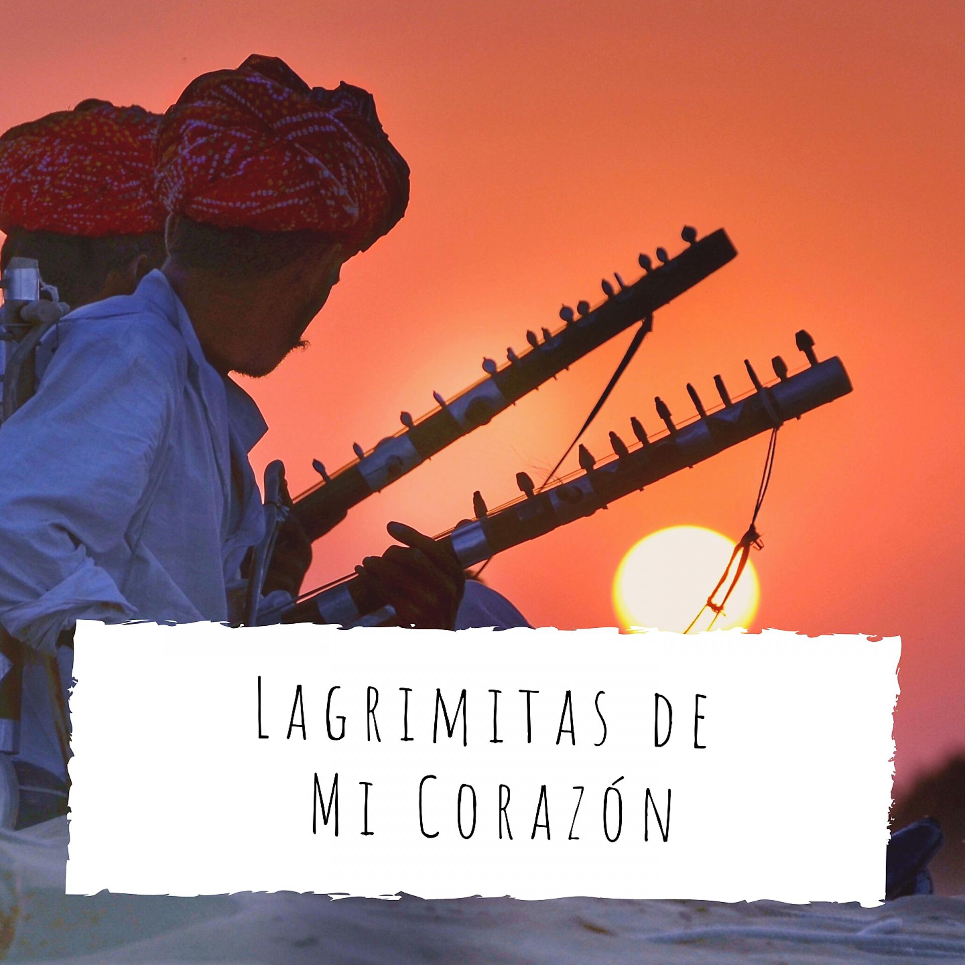 Постер альбома Lagrimitas de Mi Corazón