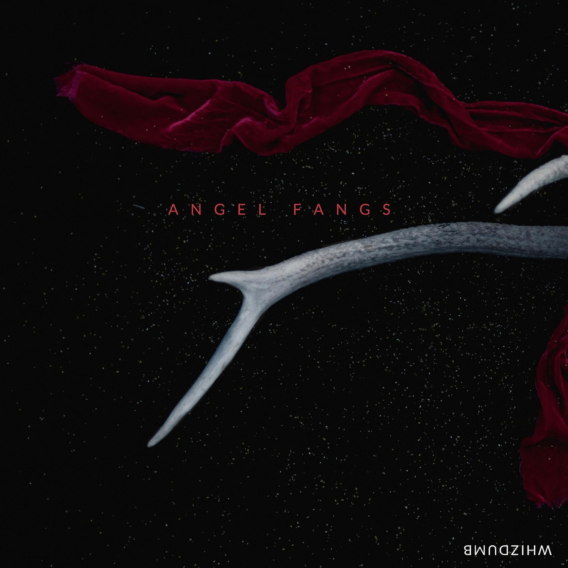 Постер альбома Angel Fangs