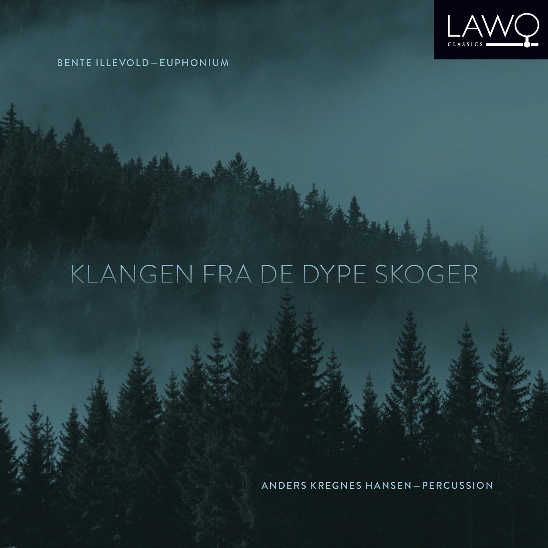 Постер альбома Klangen fra de dype skoger