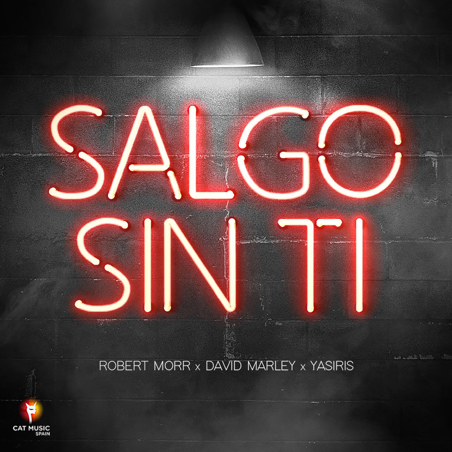 Постер альбома Salgo Sin Ti