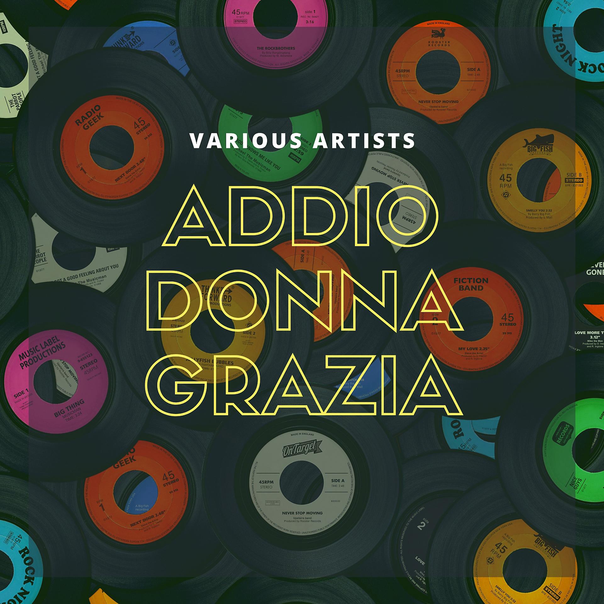 Постер альбома Addio Donna Grazia