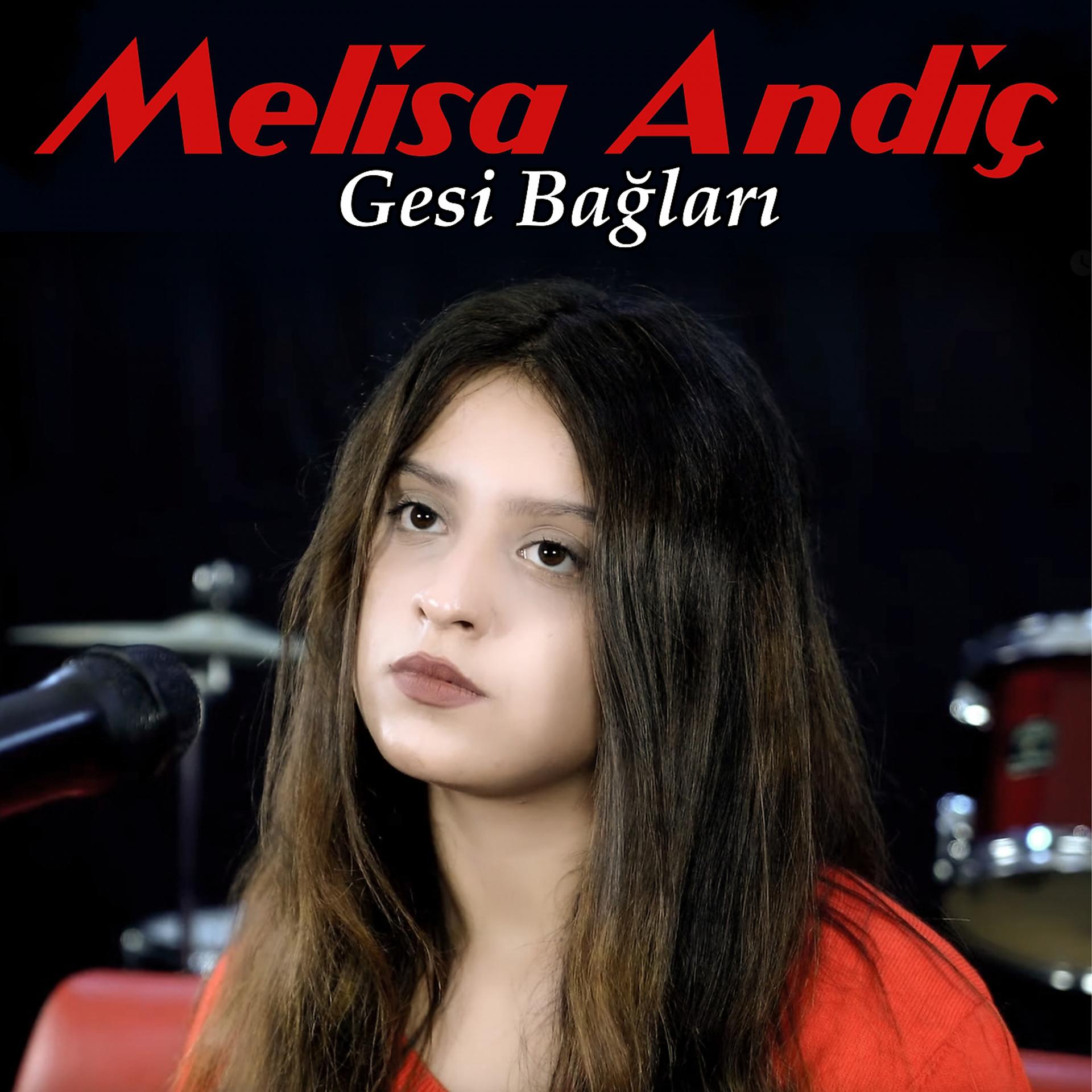 Постер альбома Gesi Bağları