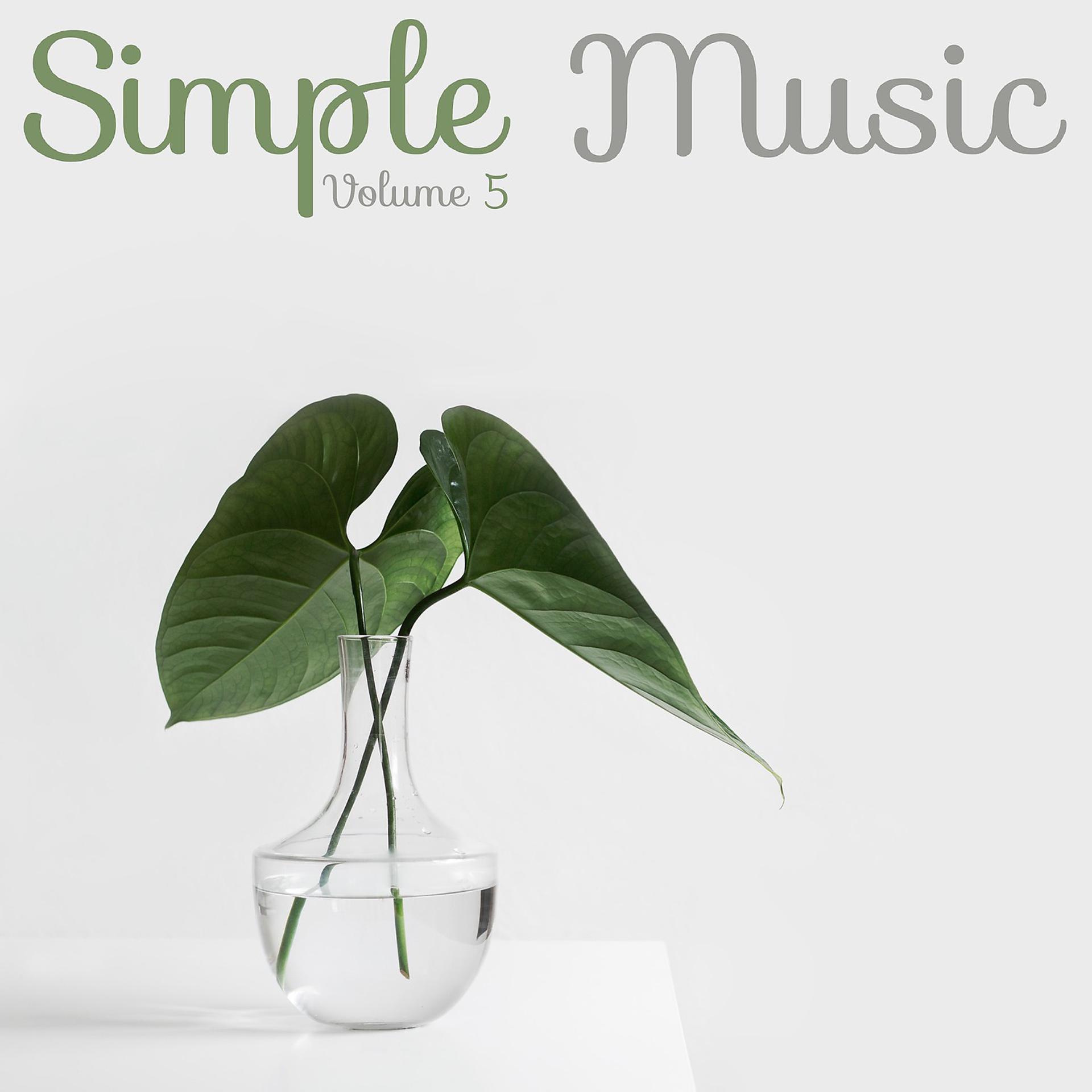 Постер альбома Simple Music, Vol. 5