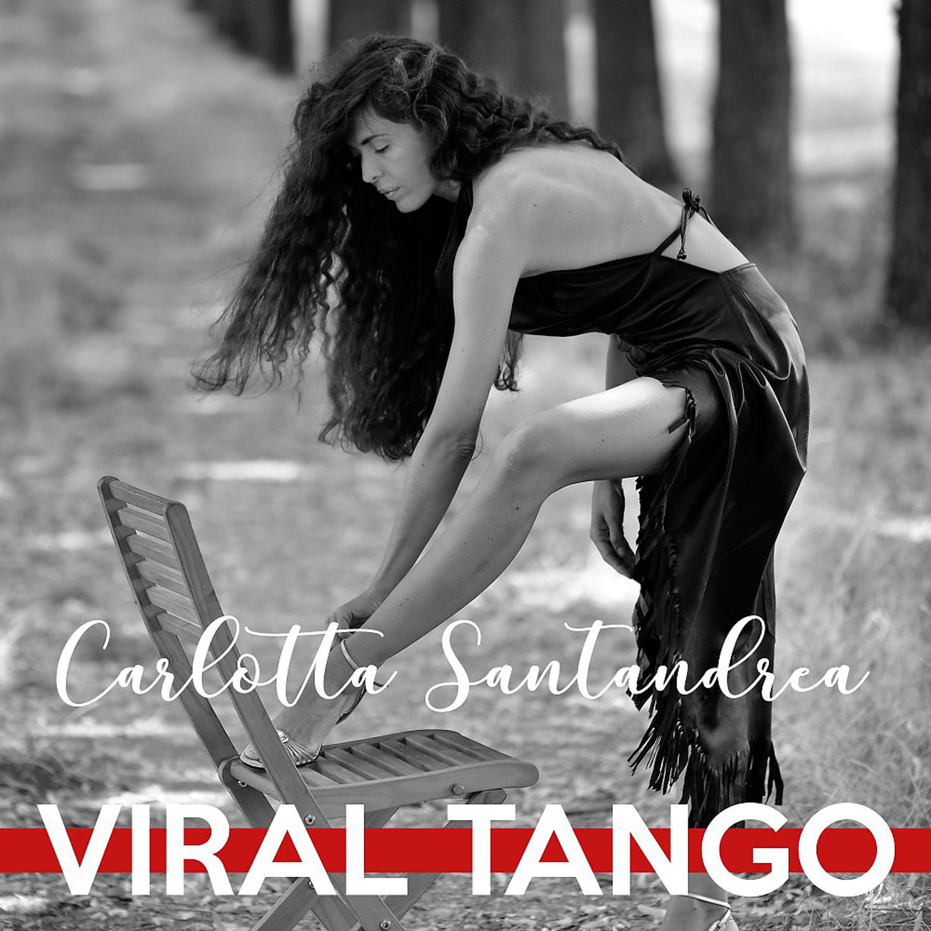 Постер альбома Viral Tango