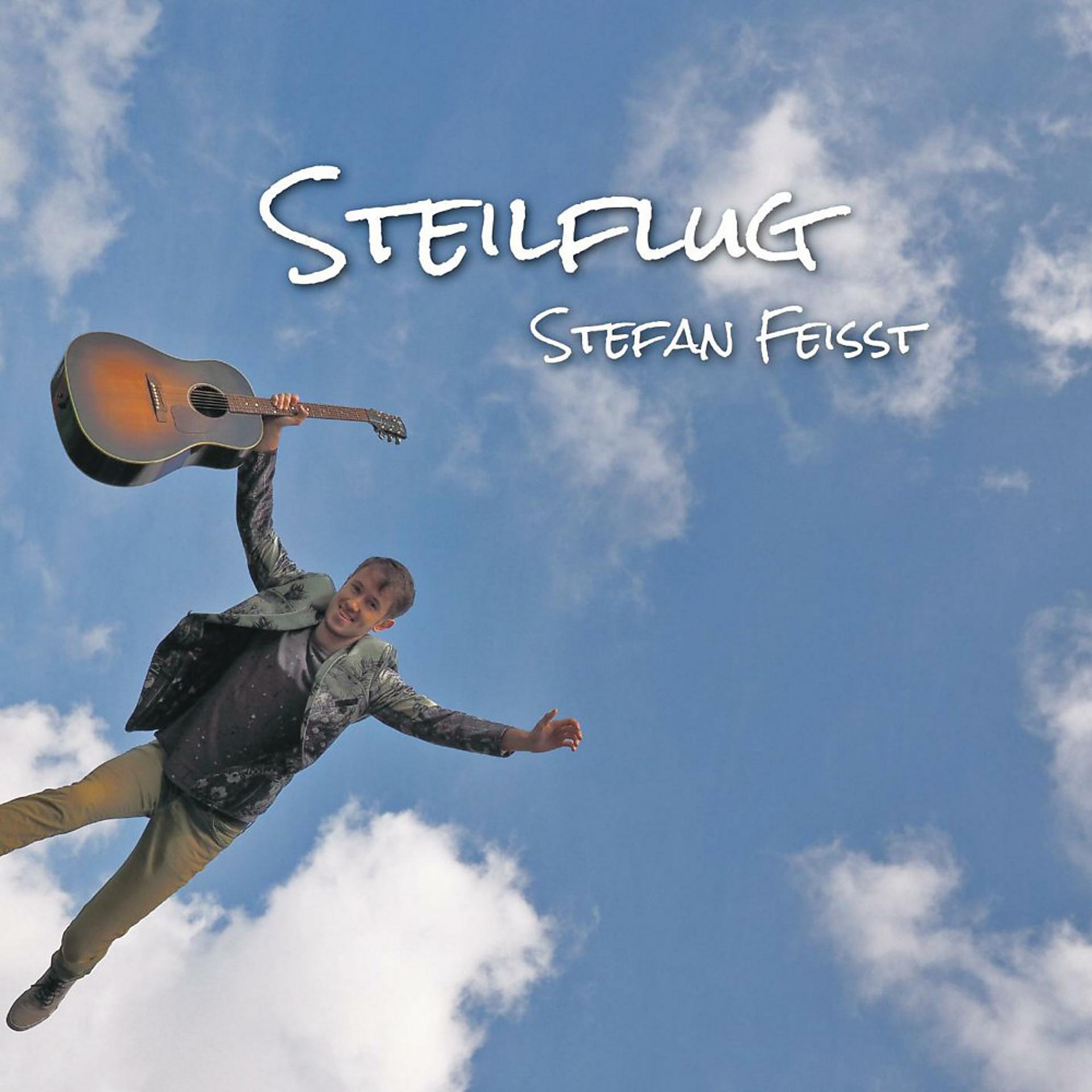 Постер альбома Steilflug