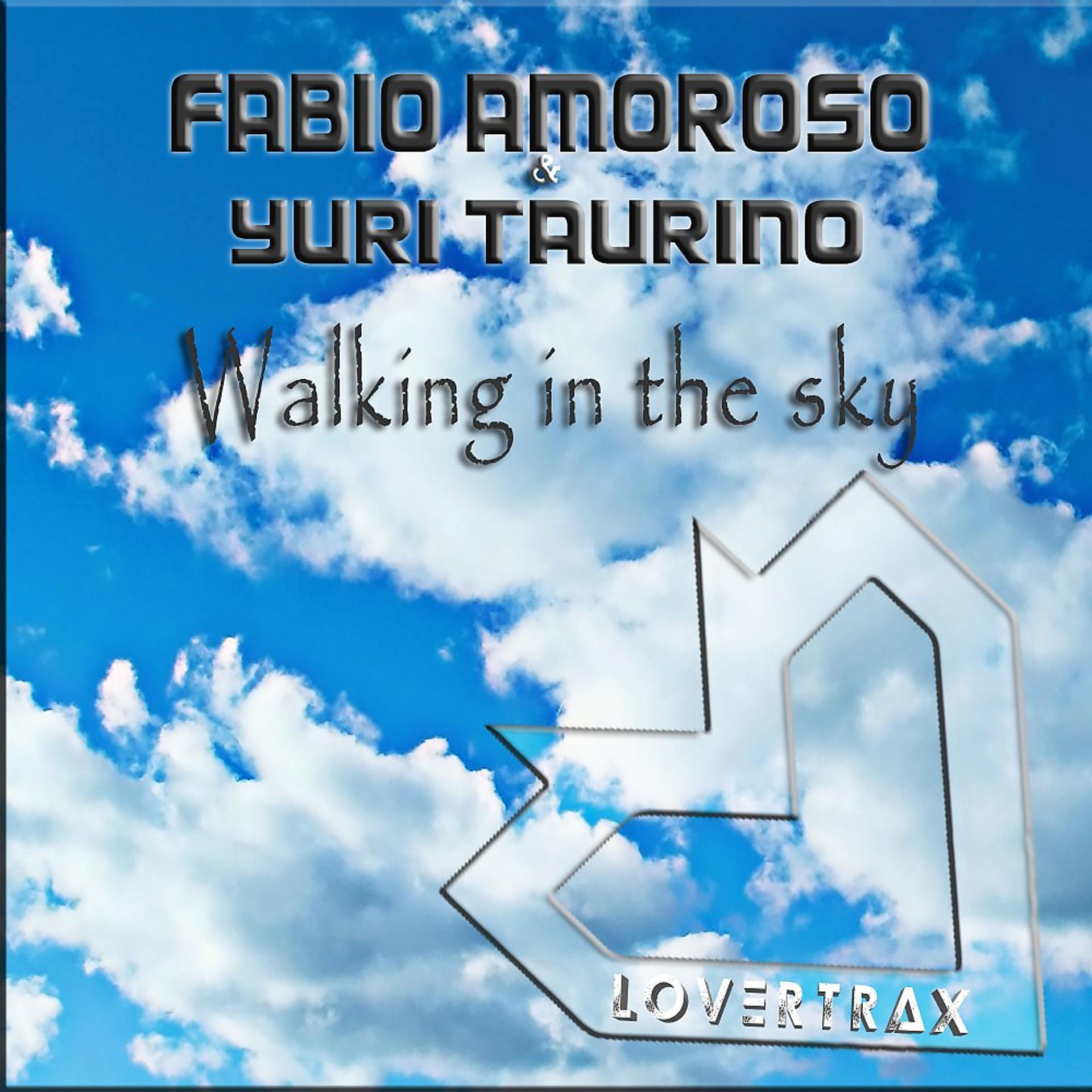 Постер альбома Walking in the Sky (Extended Mix)