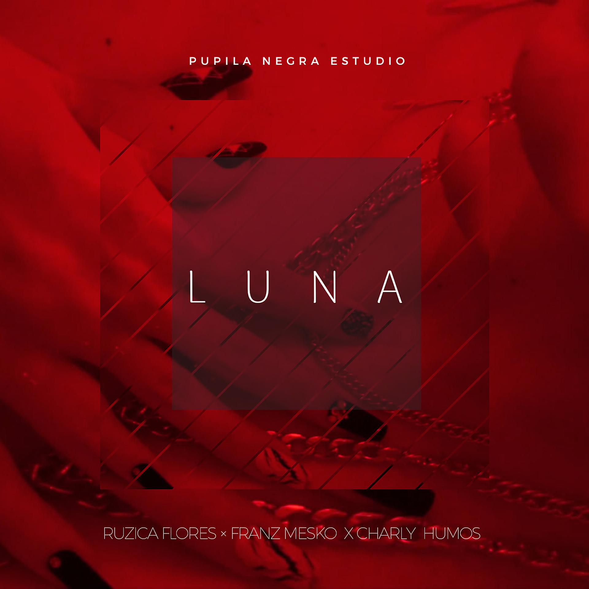 Постер альбома Luna (feat. Franz Mesko)
